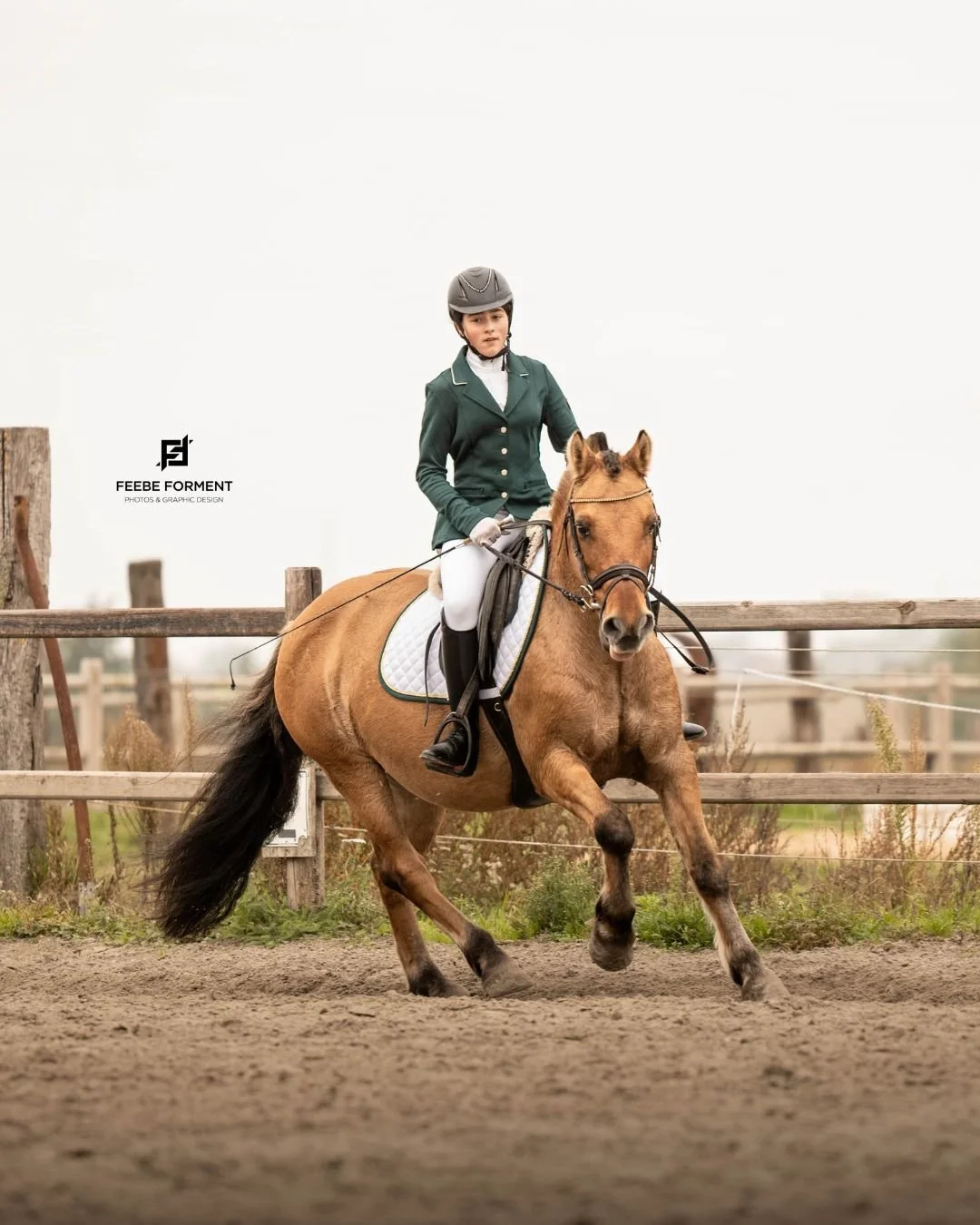 Zondag is het weer zover: dressuuractie bij Jef Stables! 🐴

Elegantie, precisie en die bijzondere connectie tussen ruiter en paard. Ik ben er opnieuw bij om alle mooie momenten vast te leggen. 📸
Zie ik je daar?

---
info@feebeforment.com
www.feebef