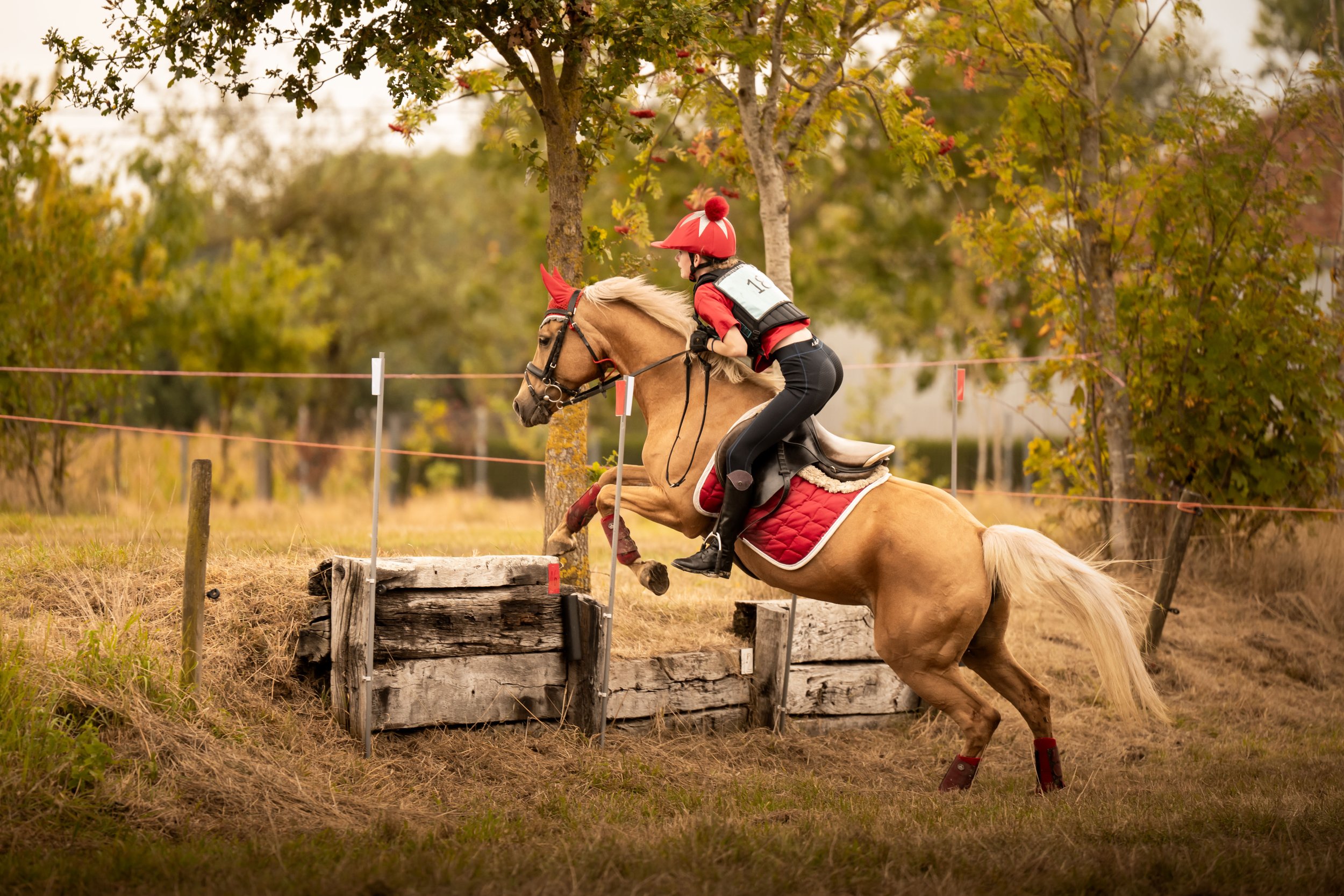Paardenshoot: in het zadel