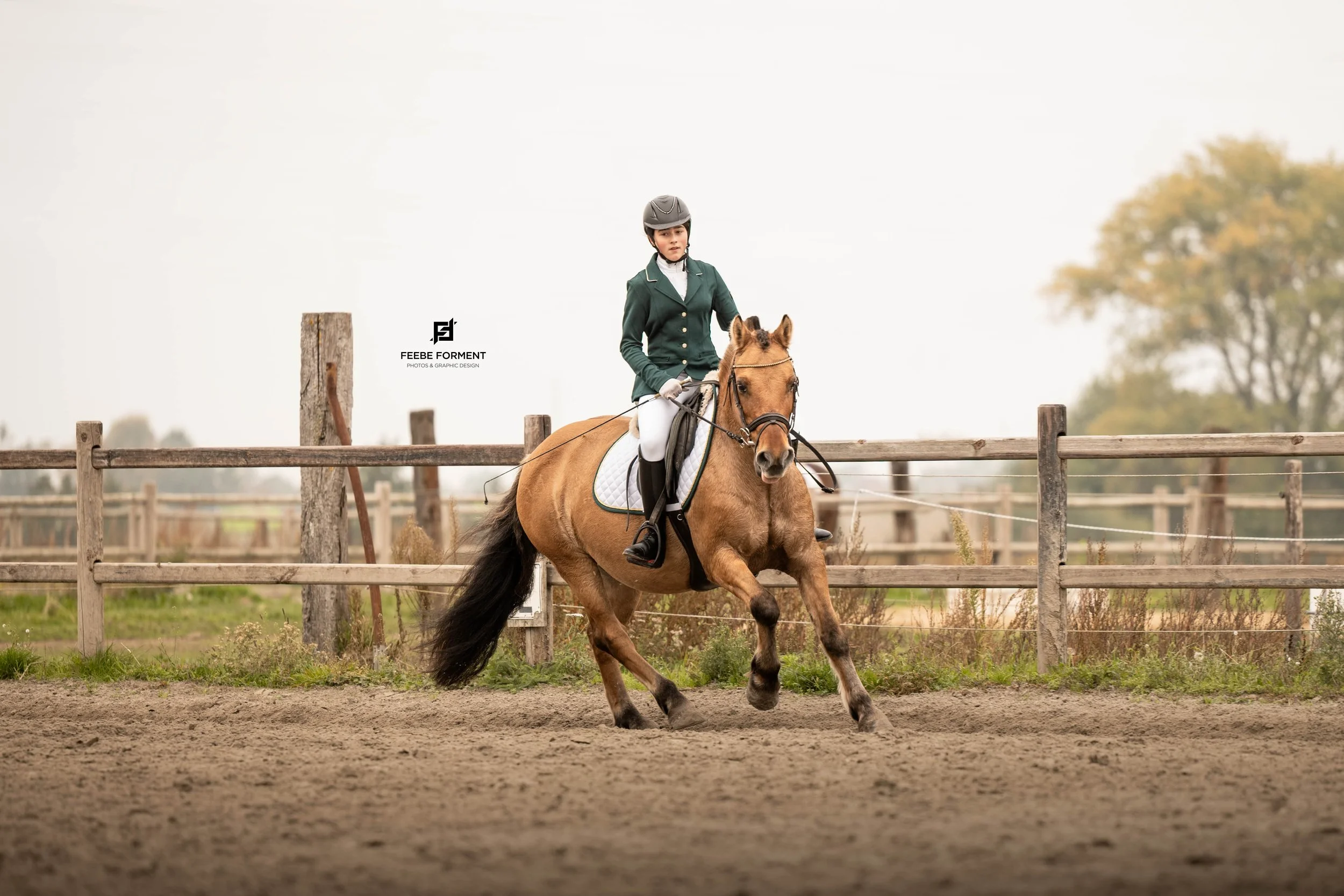 FF-20251012-Shannen-dressuur-jef-stables-LR-02.jpg