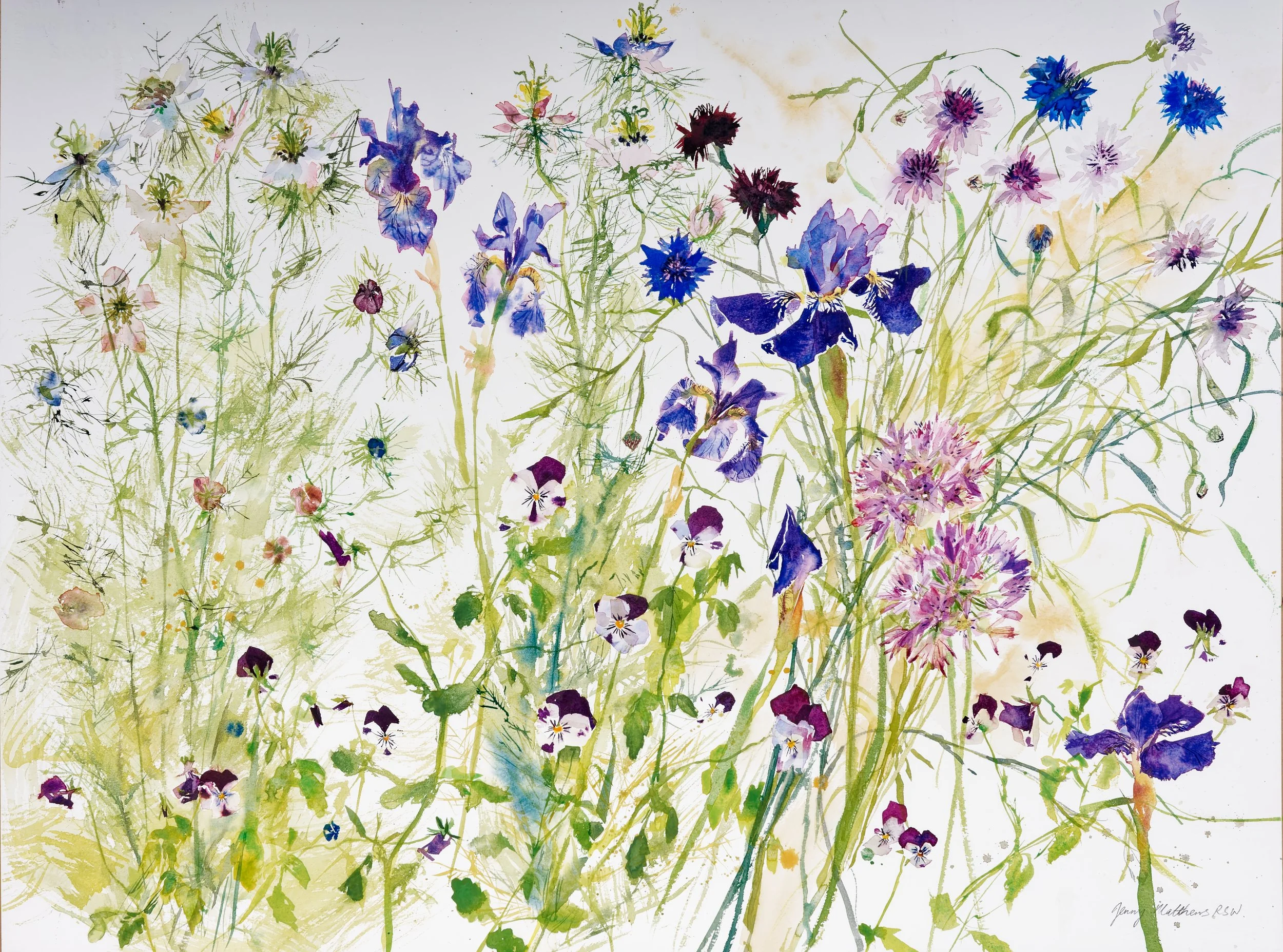 Nigella and Irises Jenny Matthews RSW.jpg