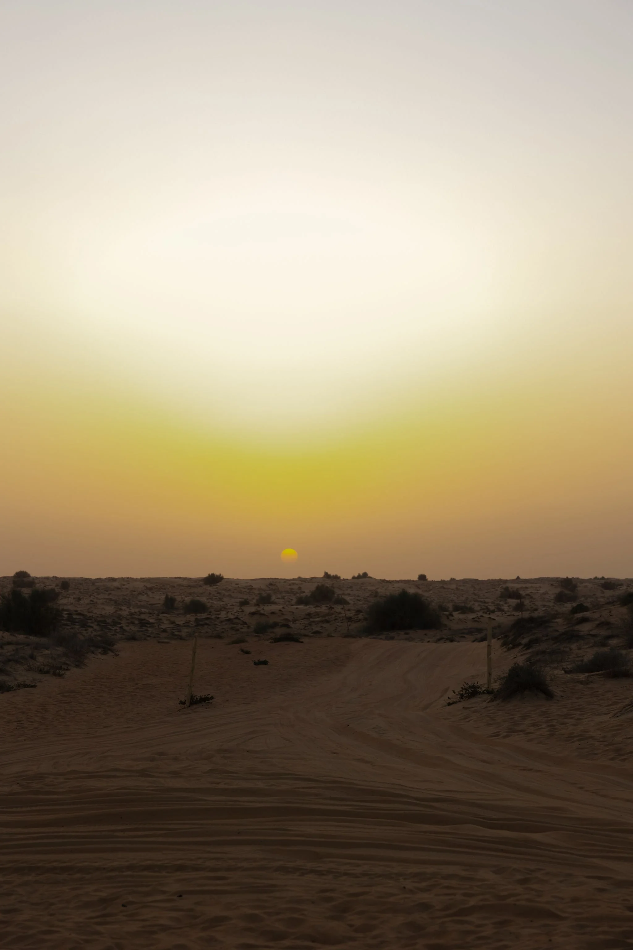 dubai-desert-resort-wedding-ceremony-