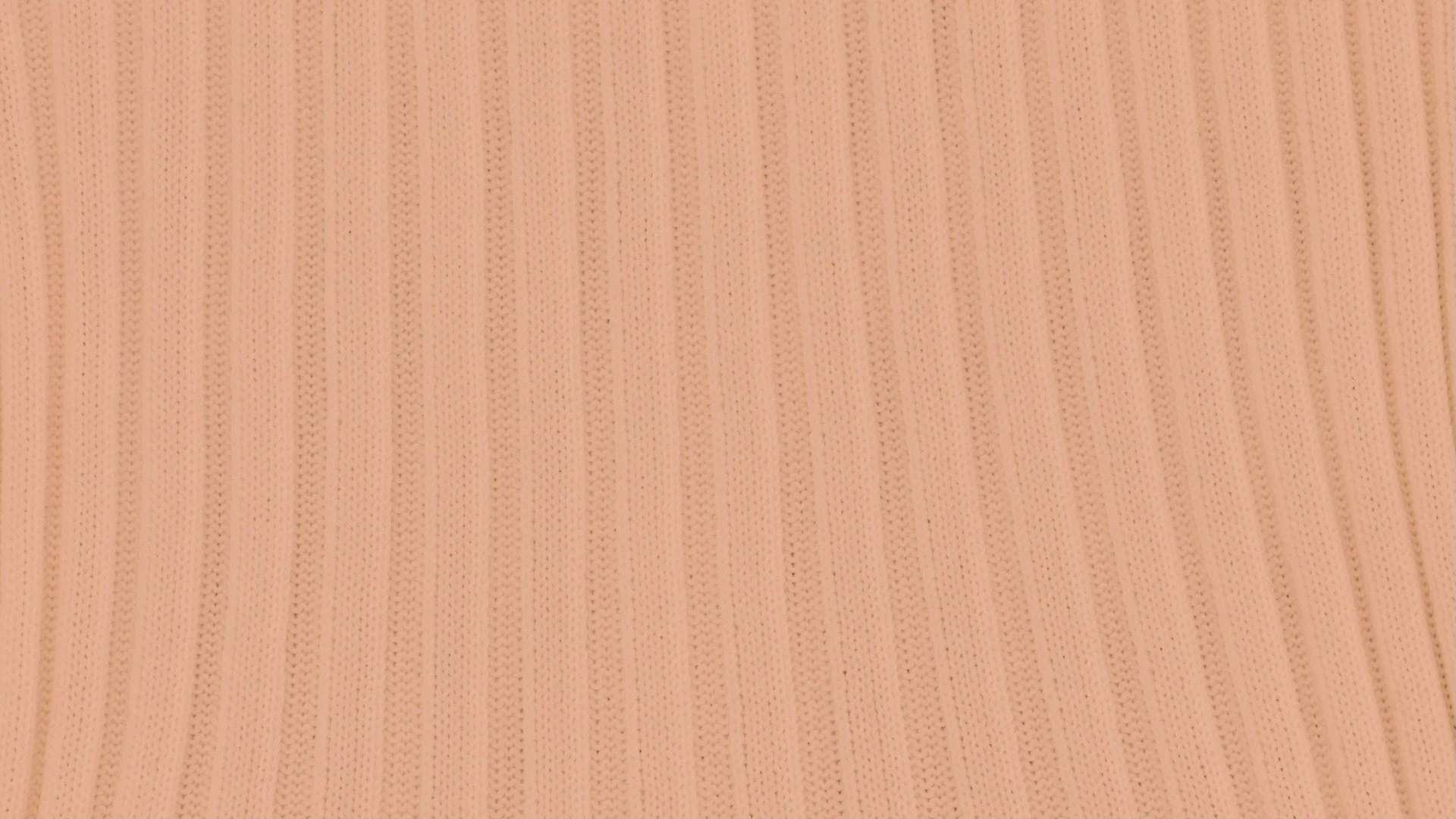 CFCL-SHISEIDO_Signature_000947.jpg