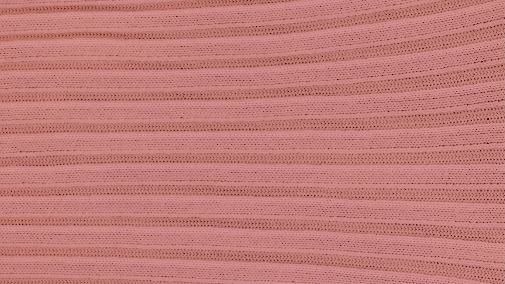 CFCL-SHISEIDO_Signature_002663.jpg