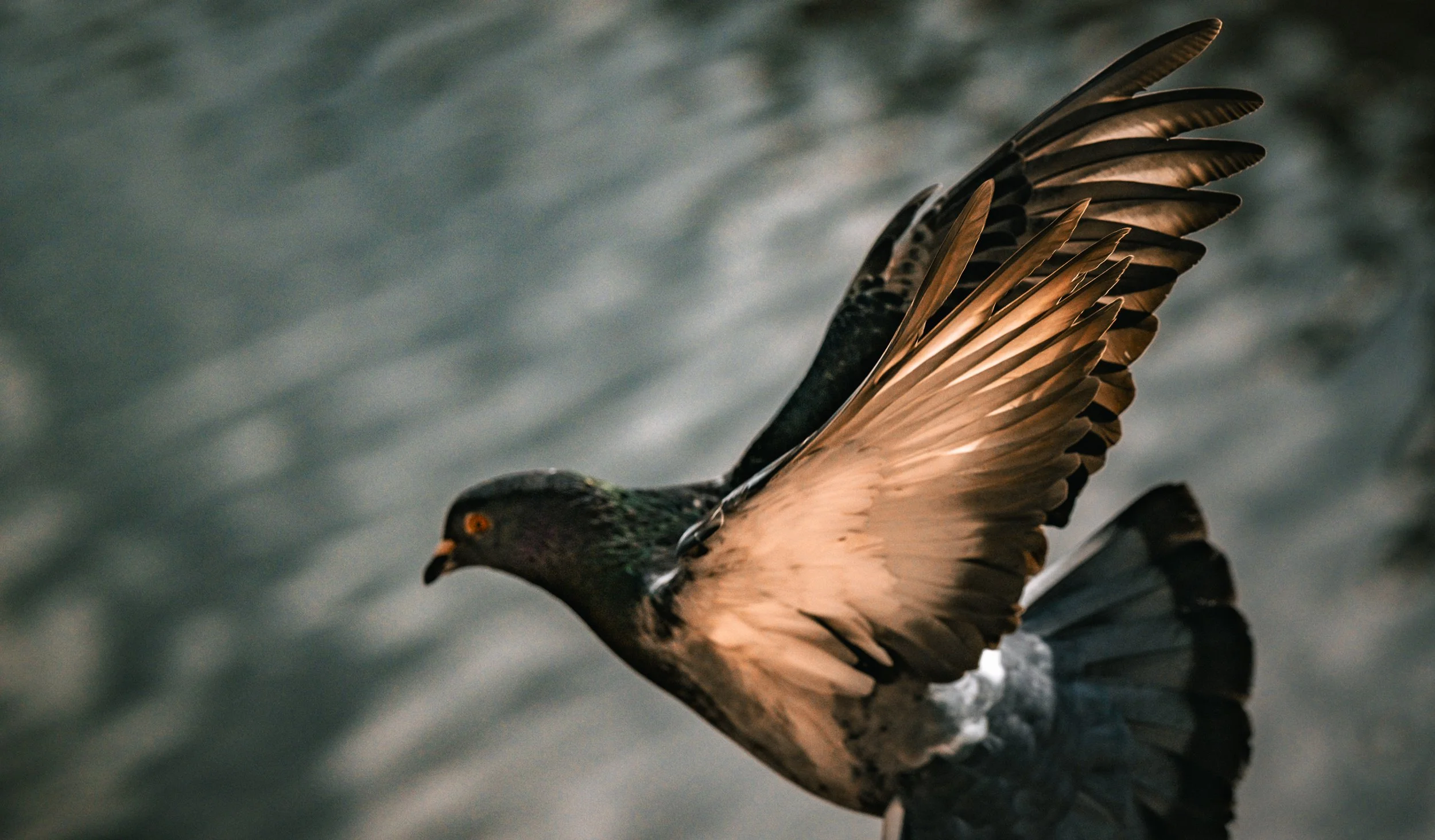 Fotoboek 2025-26.jpg