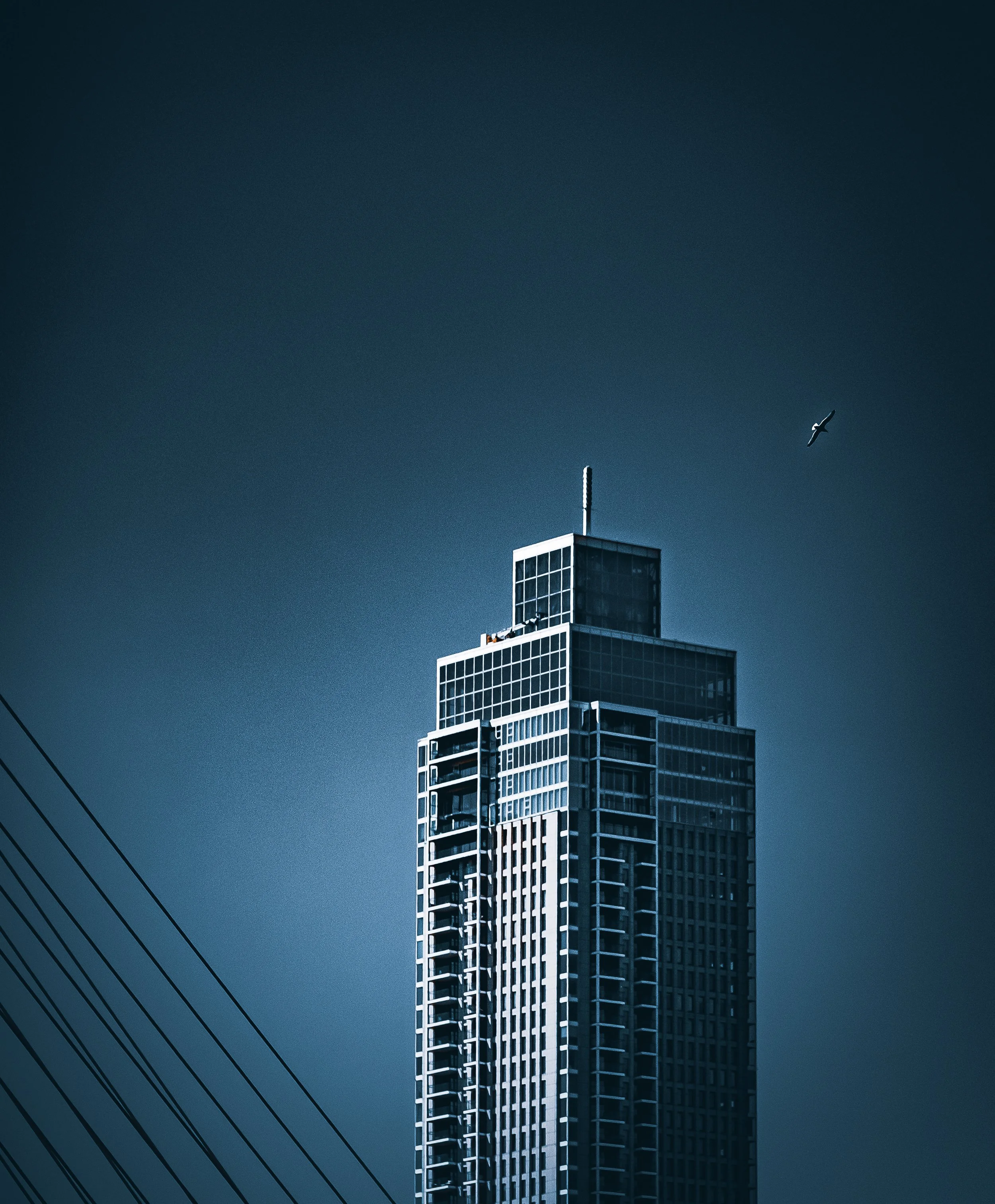 Fotoboek 2025-24.jpg