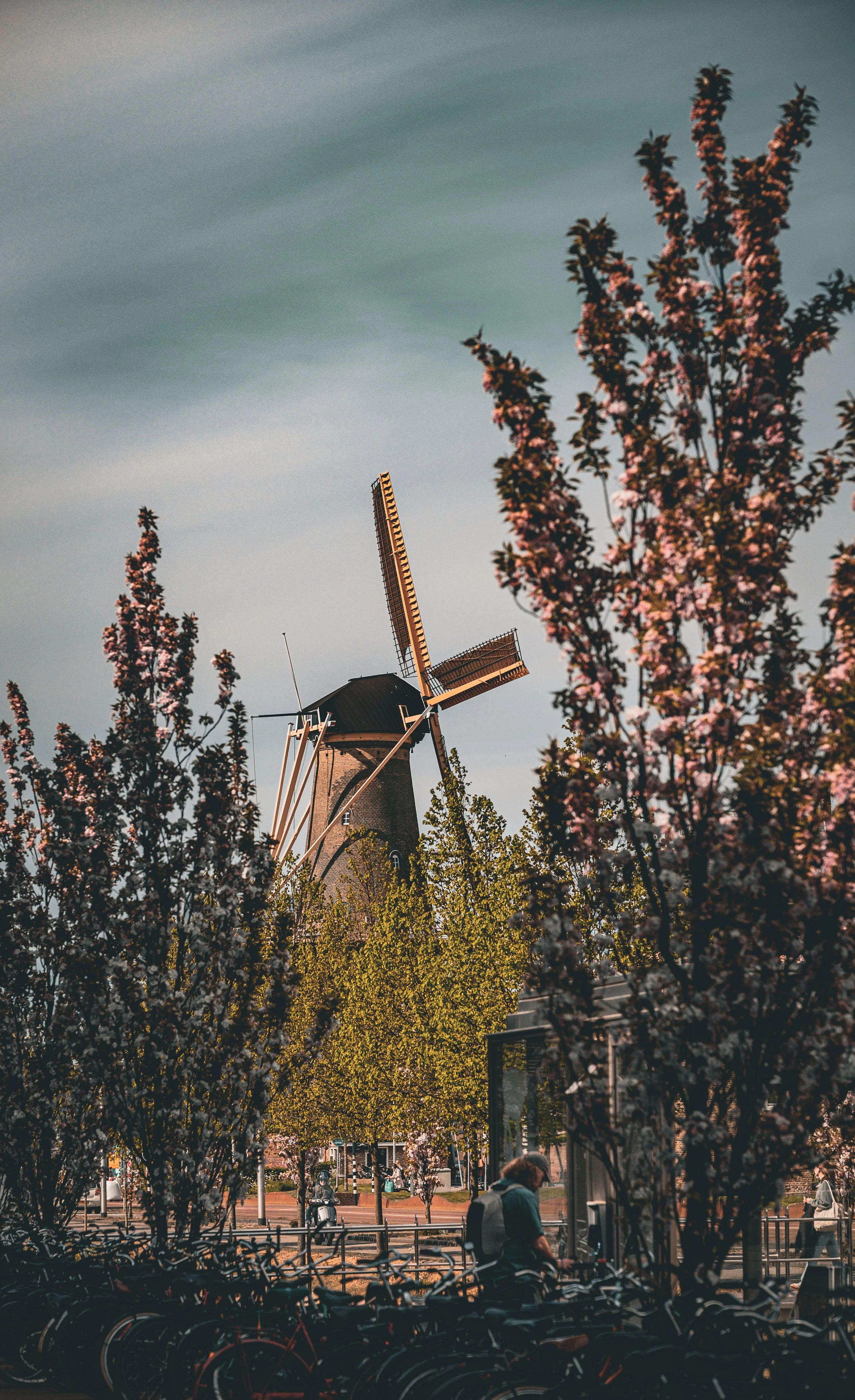 Fotoboek 2025-29.jpg