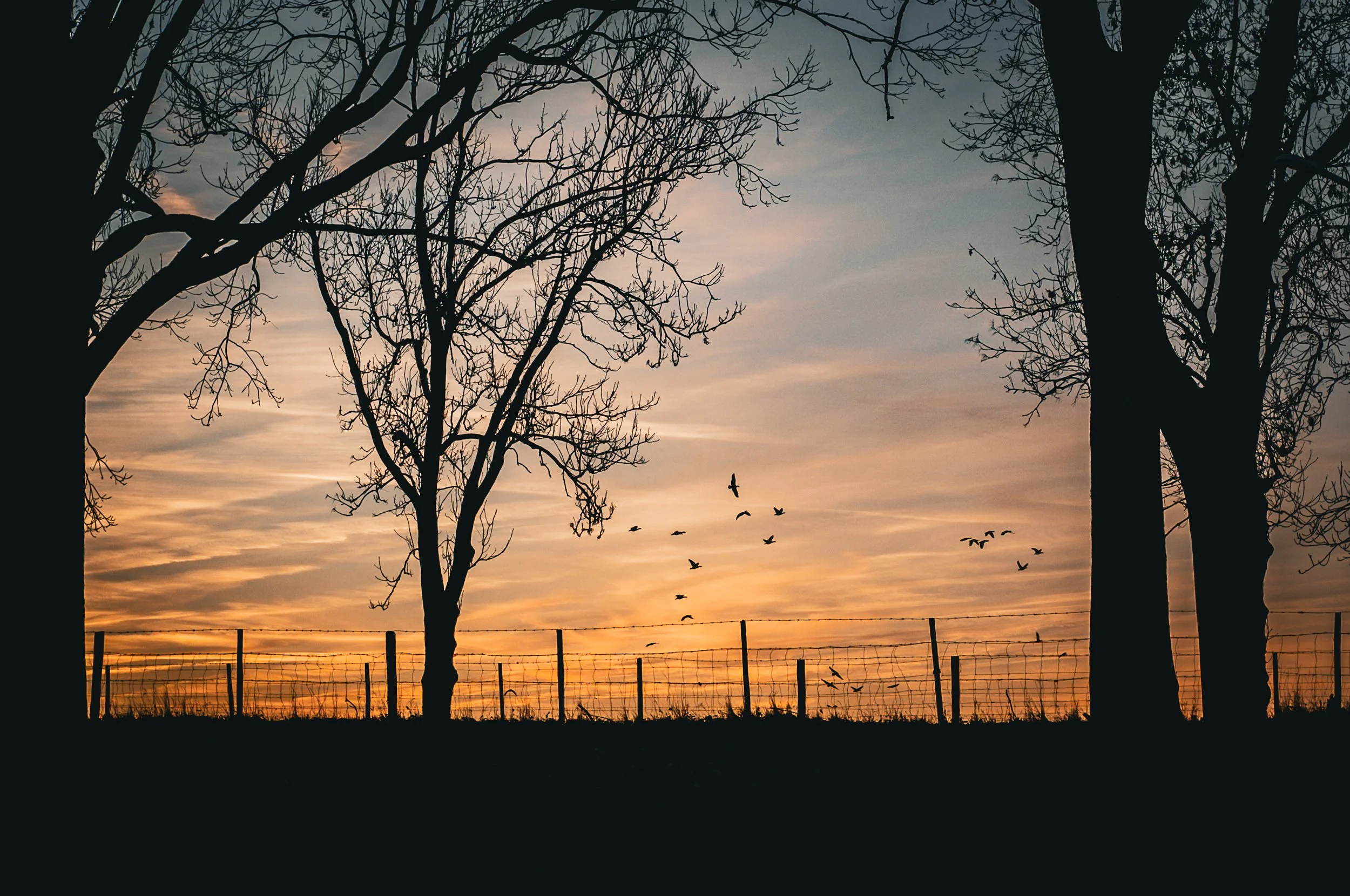 Fotoboek 2025-06.jpg