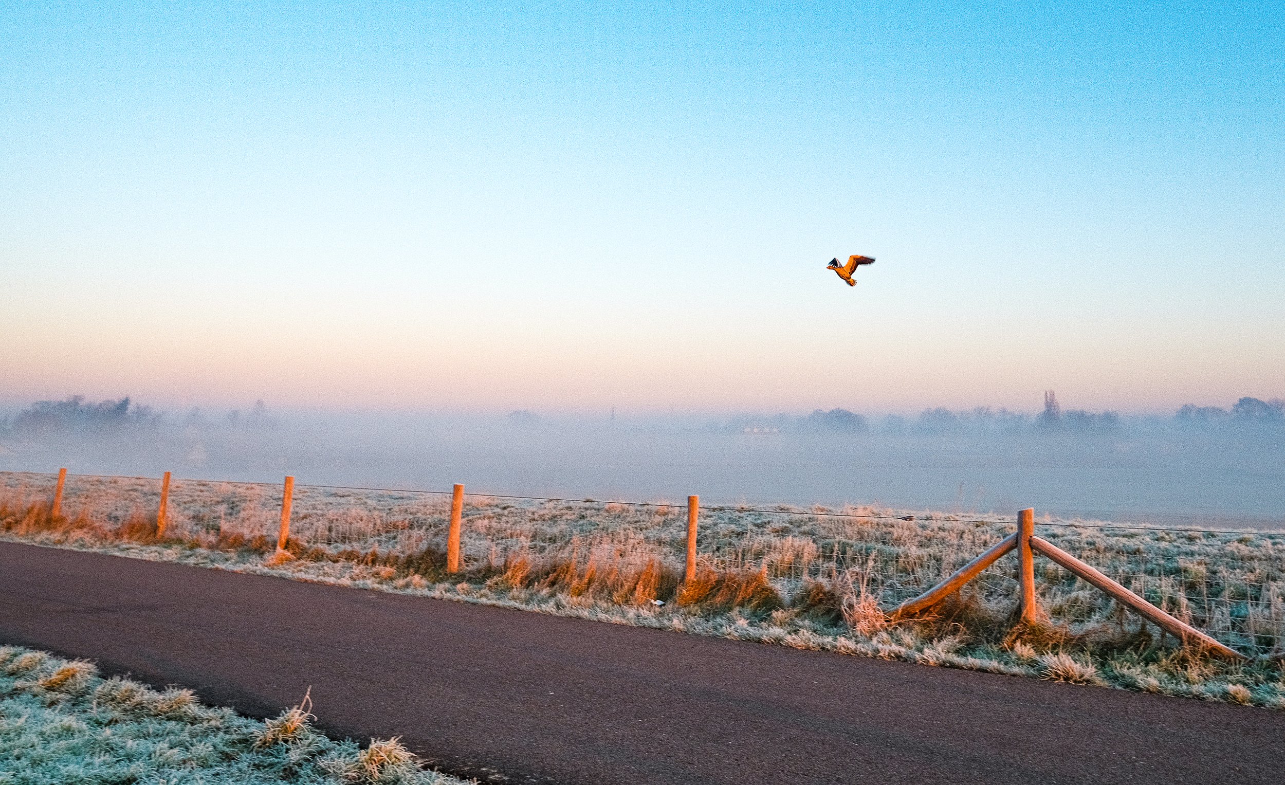 Fotoboek 2025-58.jpg