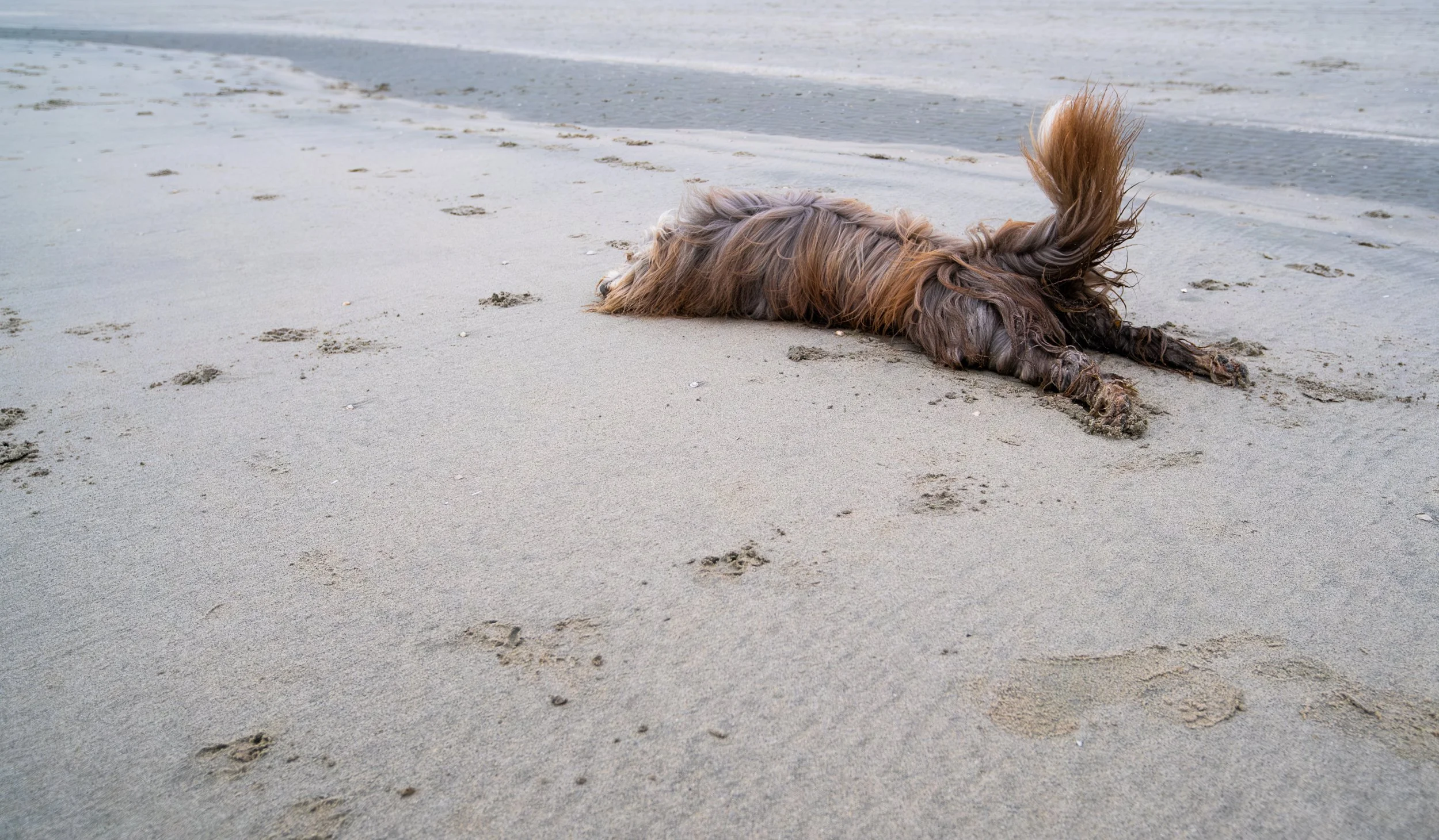 Fotoboek 2025-11.jpg