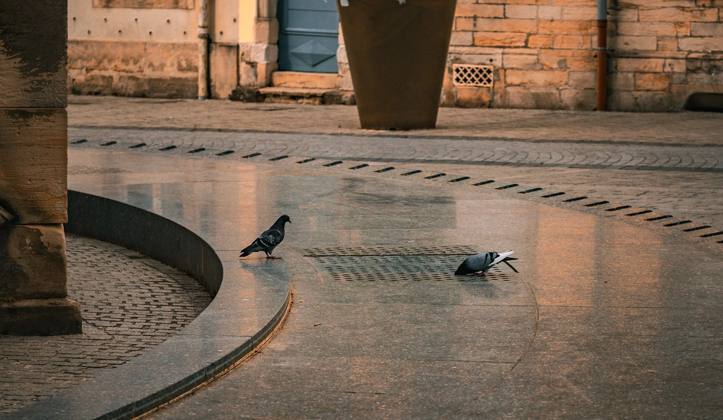 Fotoboek 2025-25.jpg