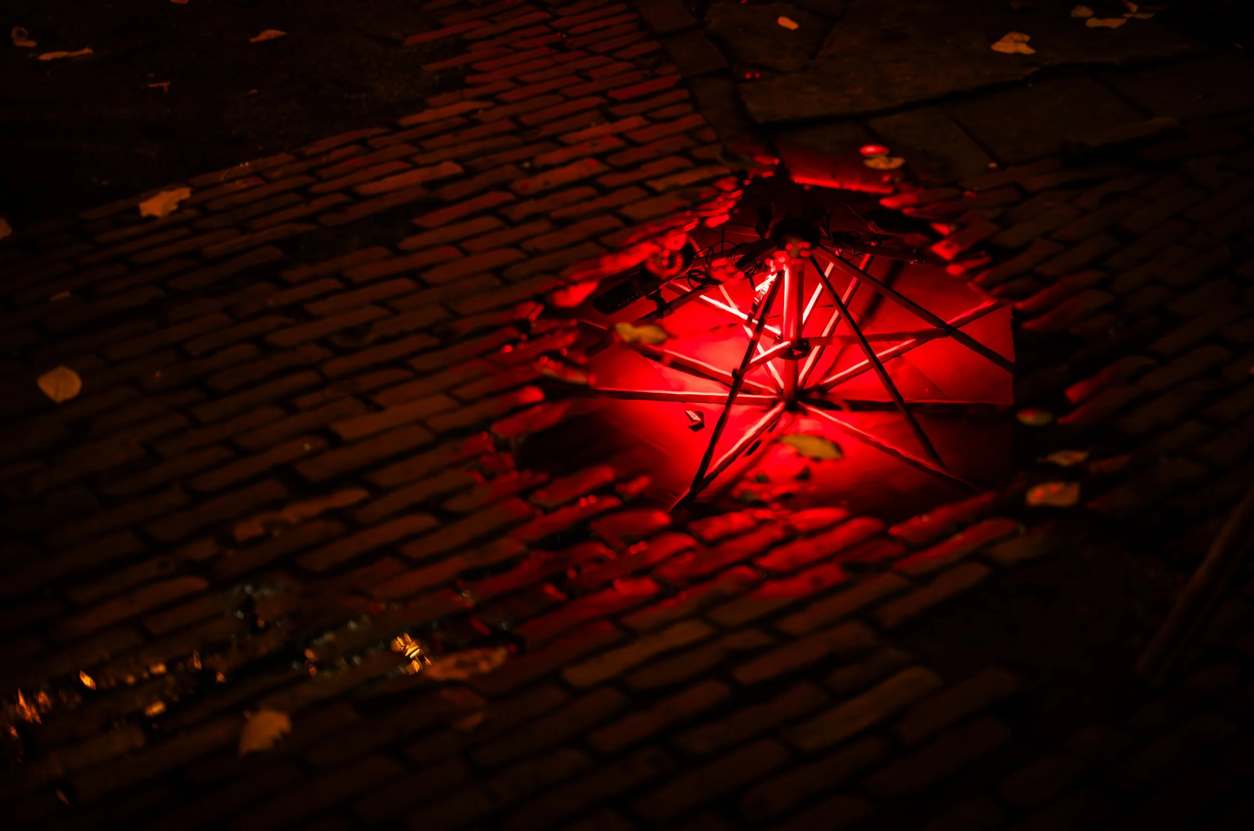 Fotoboek 2025-01.jpg