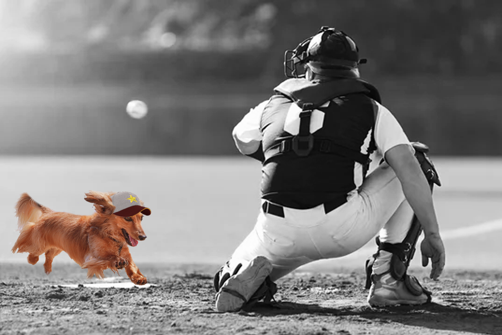 stealing home.png