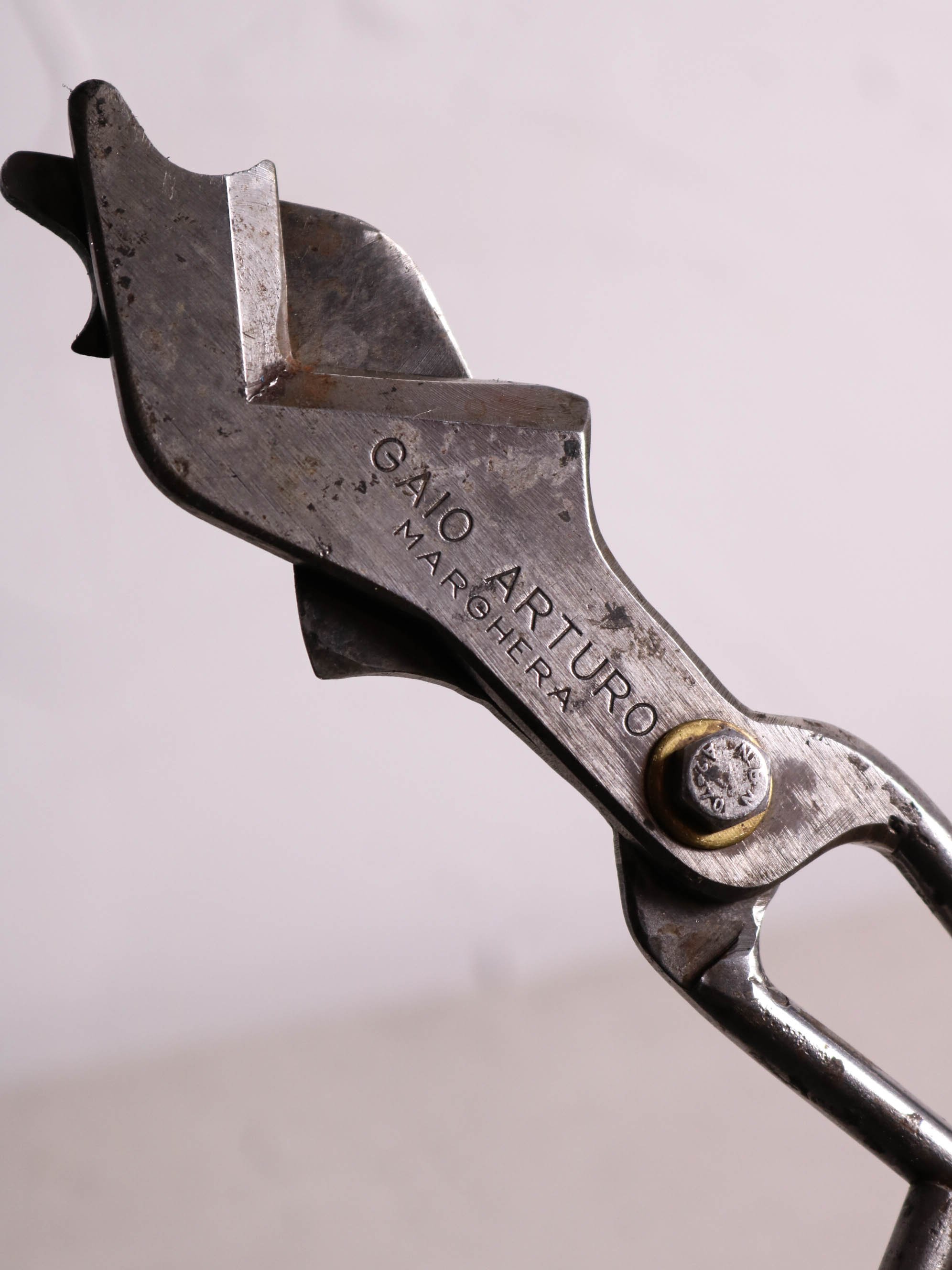 Fig. 3 Gaio Arturo Medium Diamond Shears