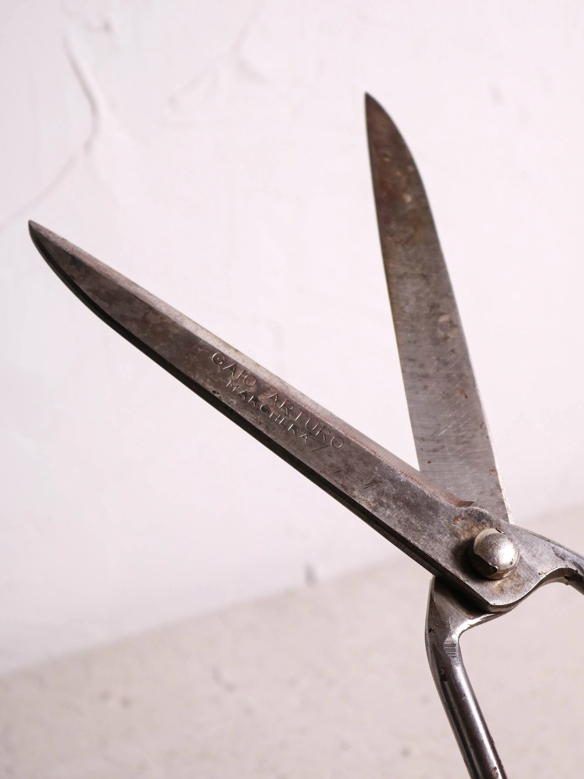 FIg. 10 Extra large Gaio Arturo bubble shears.