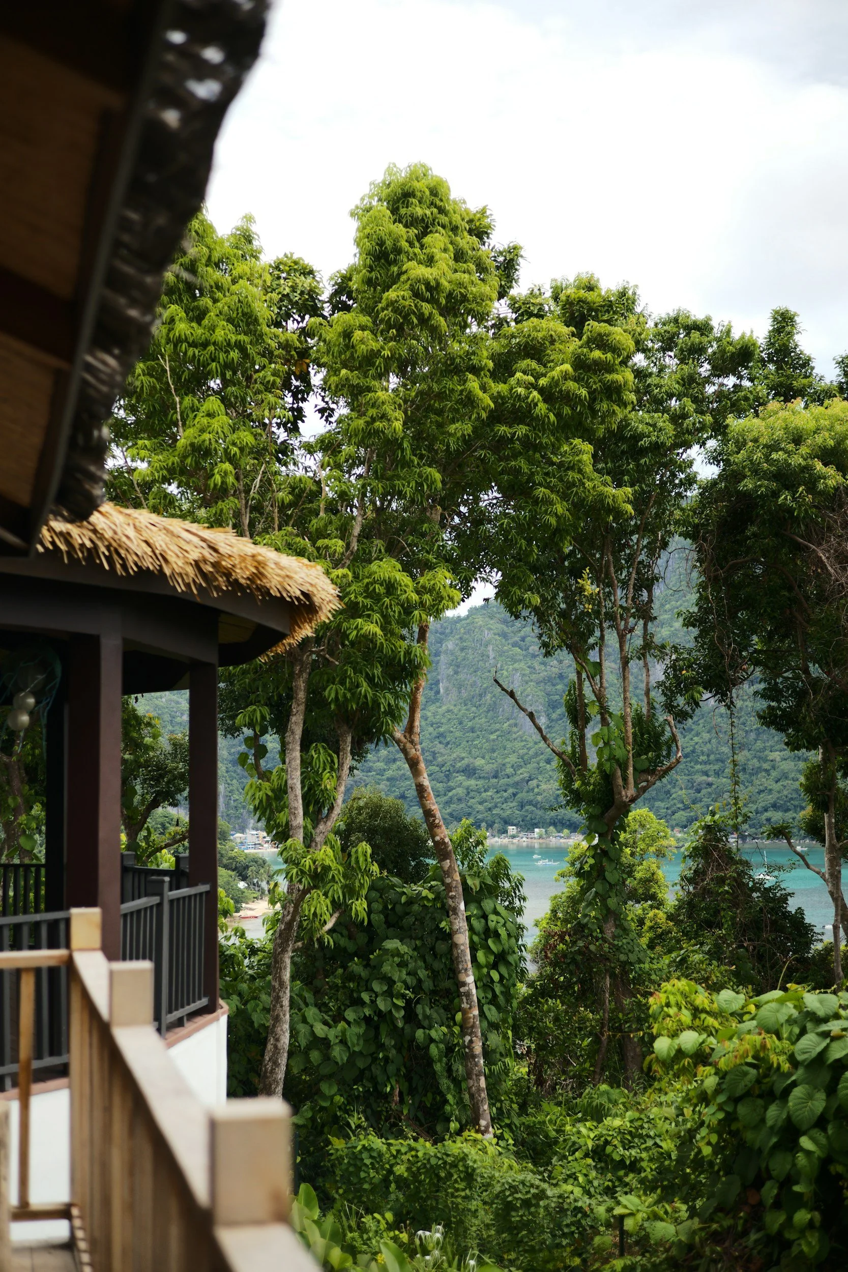 Tropical landscape with lush green trees and a view of the ocean through foliage, with part of a thatched roof structure visible in the foreground.