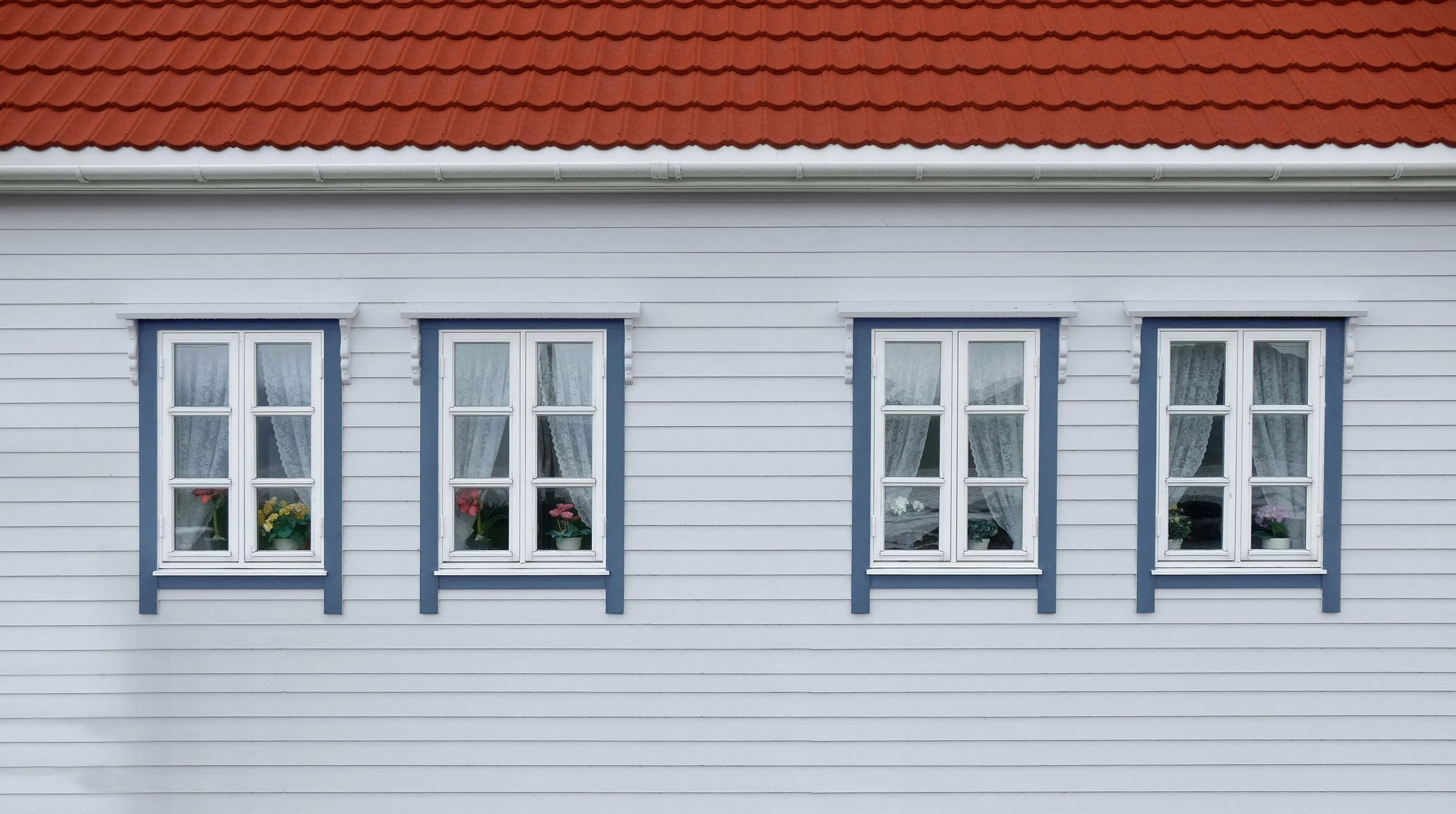 windows_0000_whiteblue.jpg