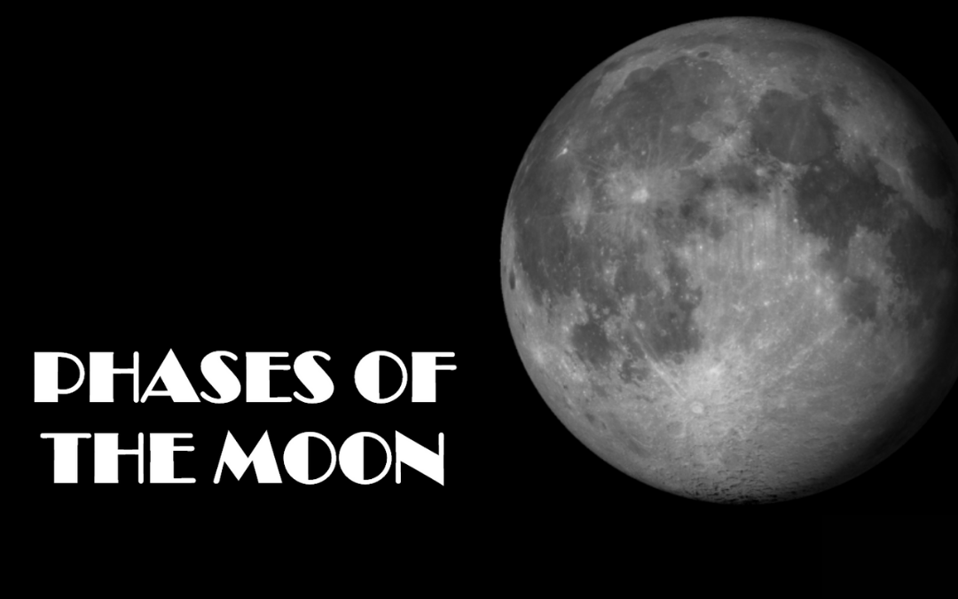 Phases of the Moon - Articulate Storyline Module