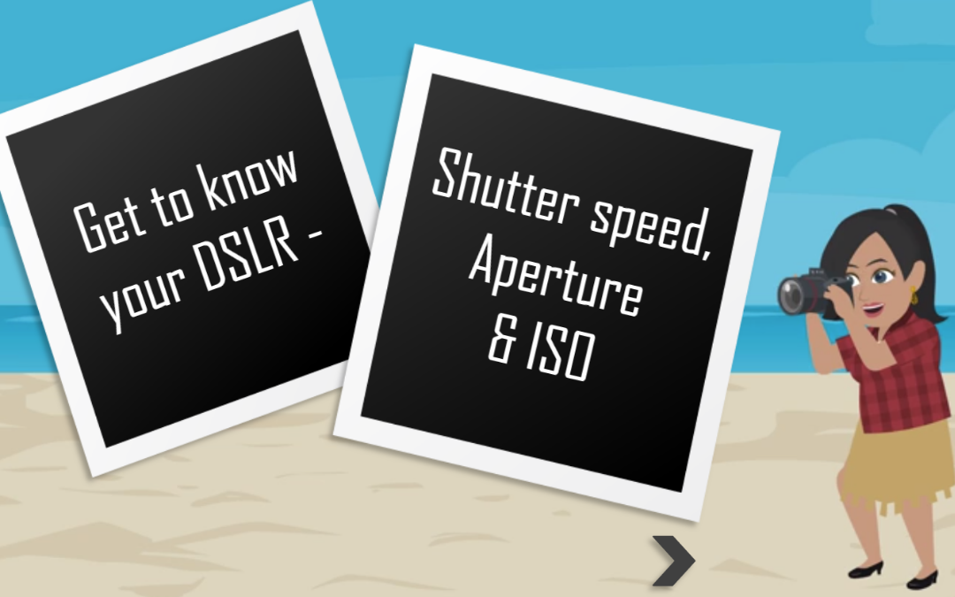 Get to Know your DSLR - Articulate Storyline Module