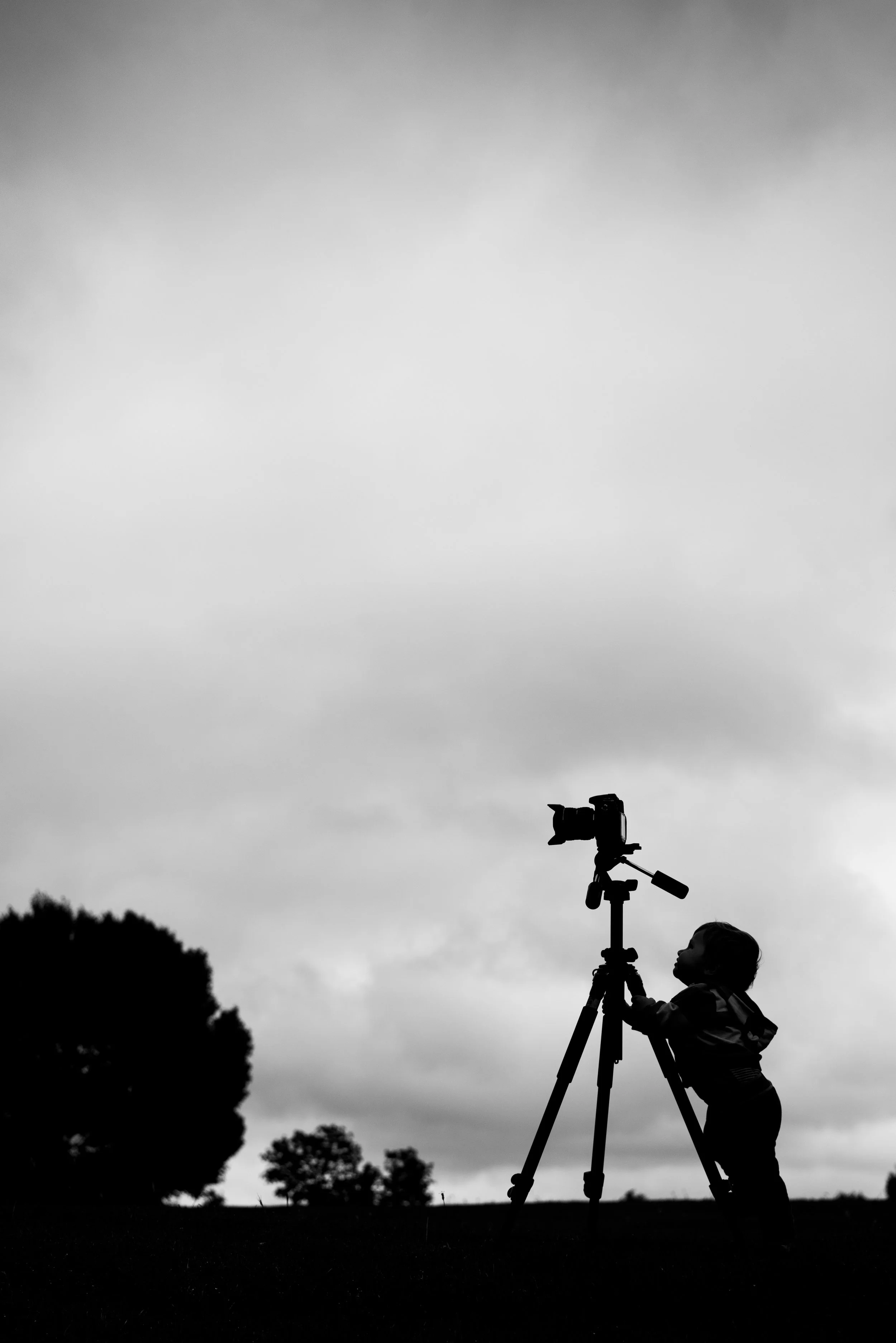 Black & white silhouette Photo of a little toddler holding onto a tripod looking up.