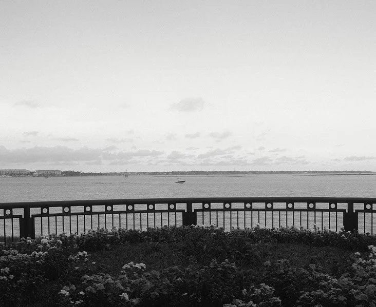 Regretting not turning my grain off on my pics from SC but it is what it is 

#fujifilmx100vshooters #fujifilm #fujifilmphotography #fujifilmx100v