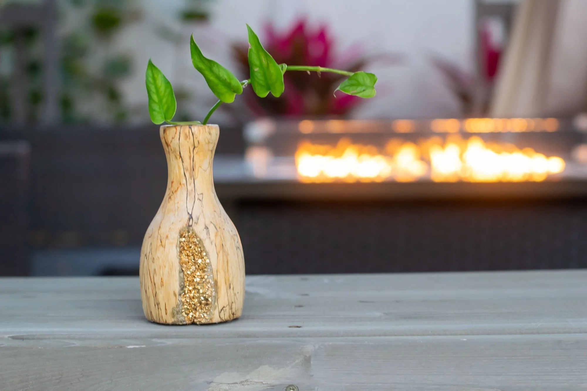 jen shannon propagation vase-03.jpg