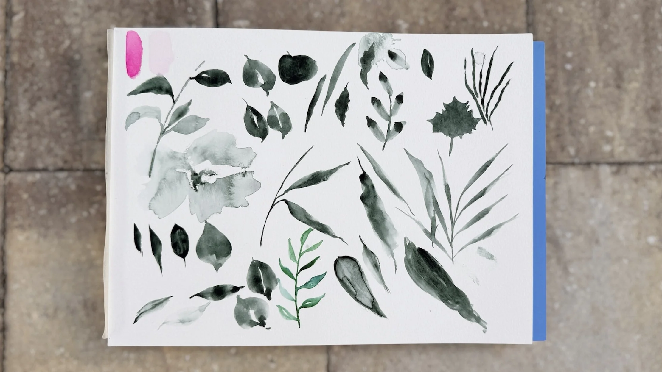 Painting Various Types of Watercolor Leaves TikTok LIVE 09 Replay