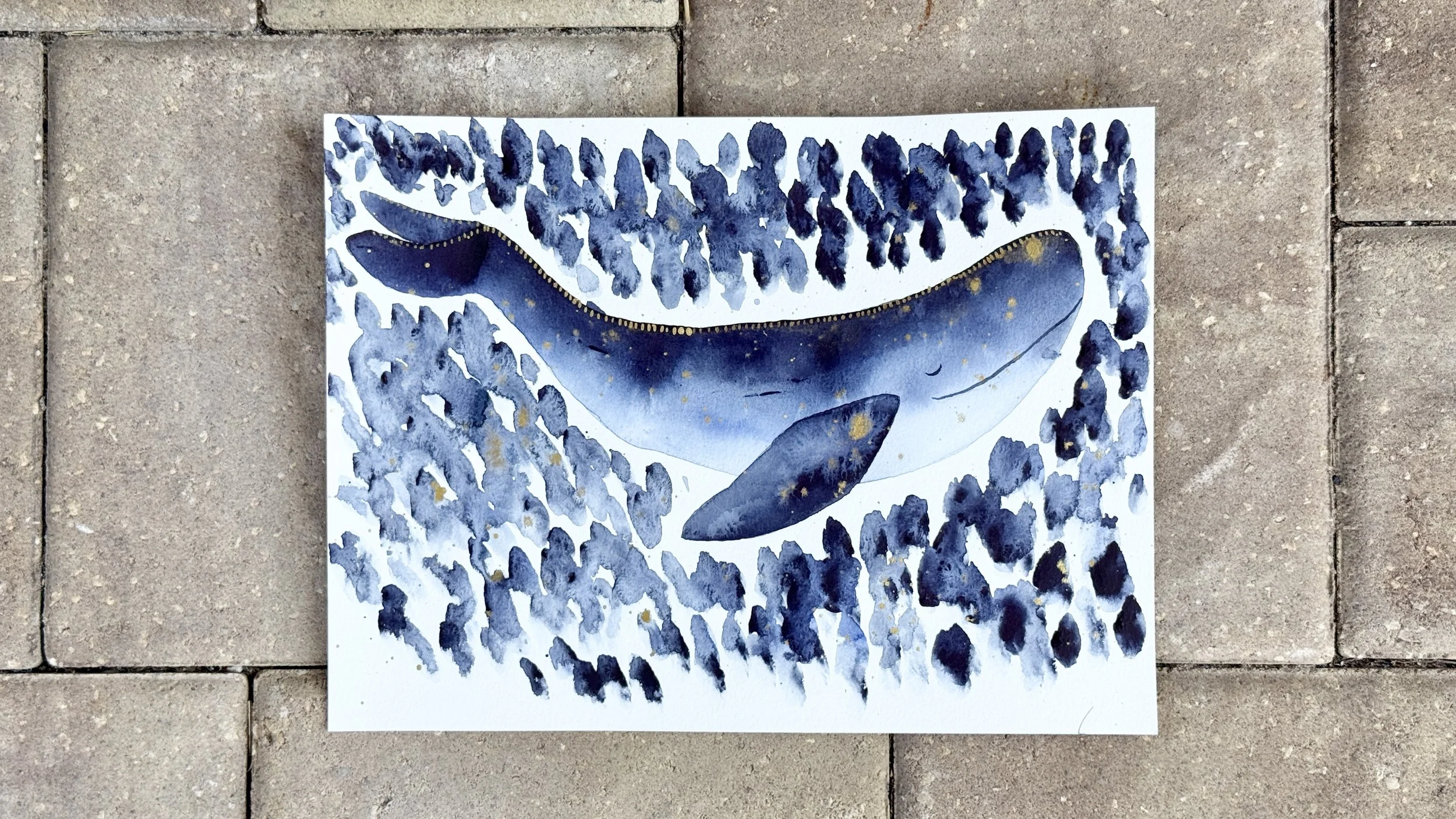 “Whimsical Whale” TikTok LIVE 16 Replay