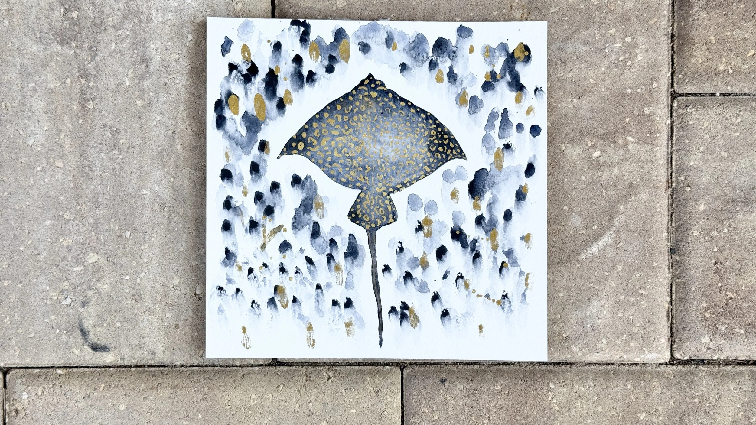 “Whimsical Stingray” TikTok LIVE 17 Replay