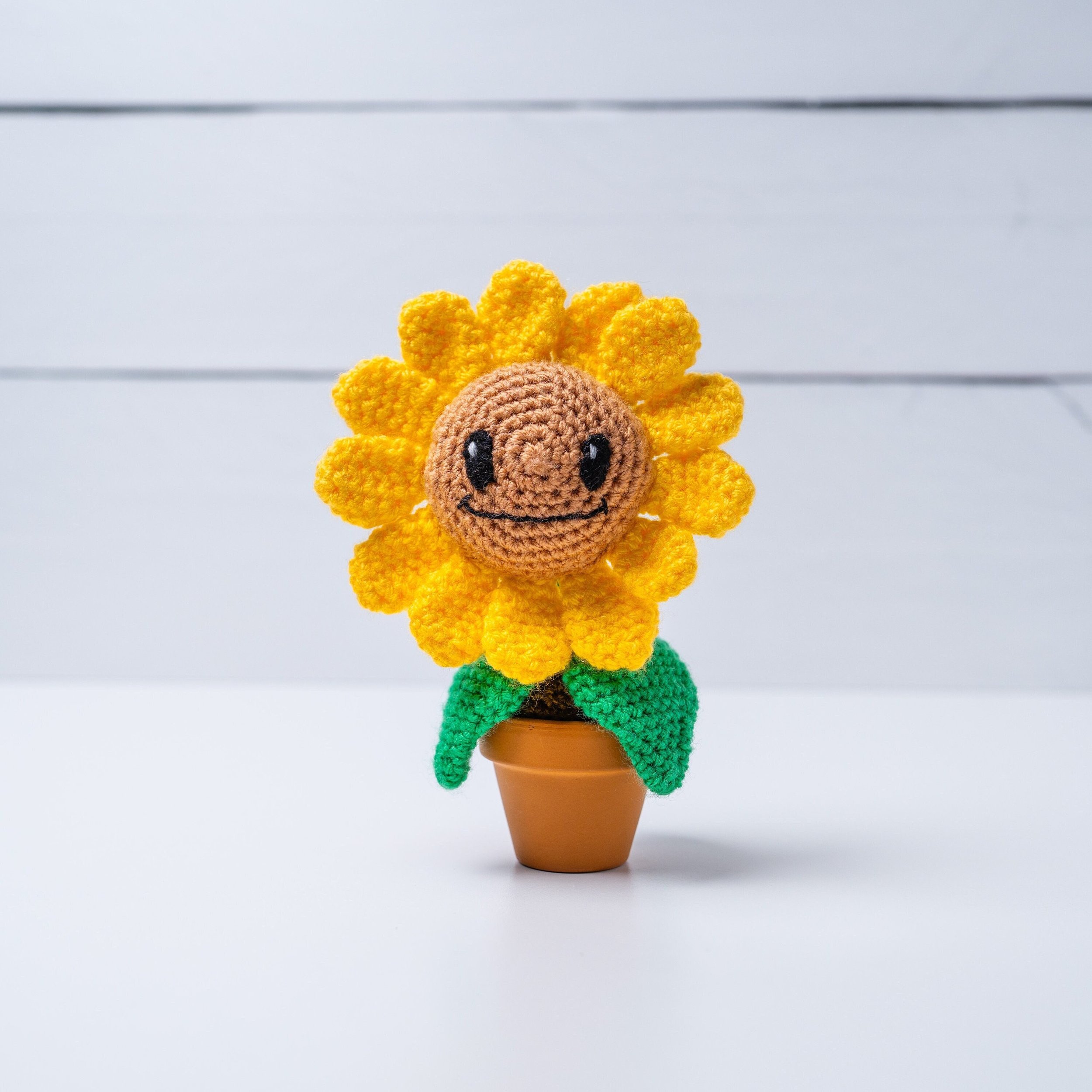 https://i.etsystatic.com/12758336/r/il/03e0b5/5882818564/il_fullxfull.5882818564_ppiy.jpg