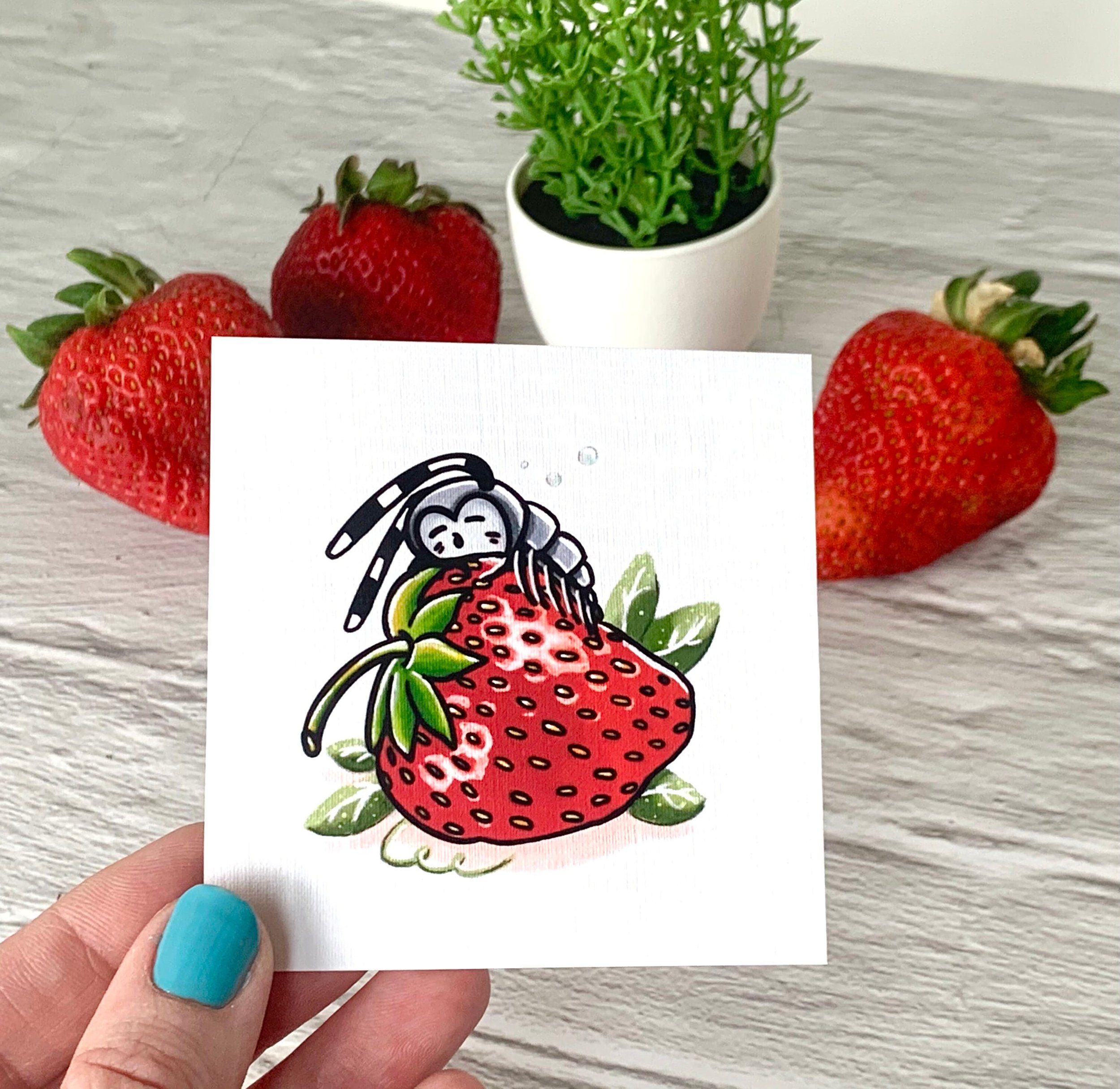https://i.etsystatic.com/12758336/r/il/5006fd/3073902300/il_fullxfull.3073902300_tdwu.jpg