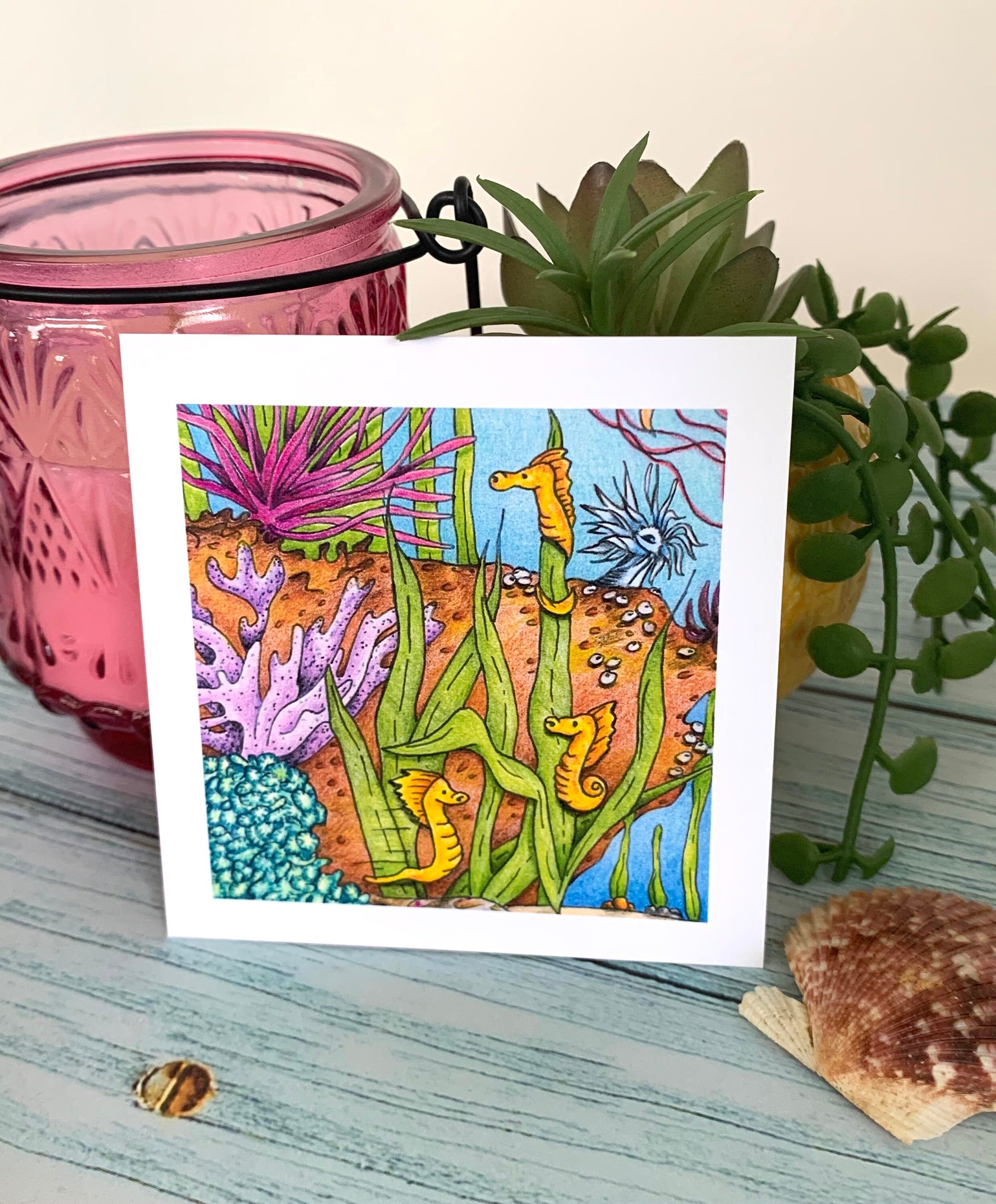 https://i.etsystatic.com/12758336/r/il/46a37a/3093809077/il_fullxfull.3093809077_3bgd.jpg