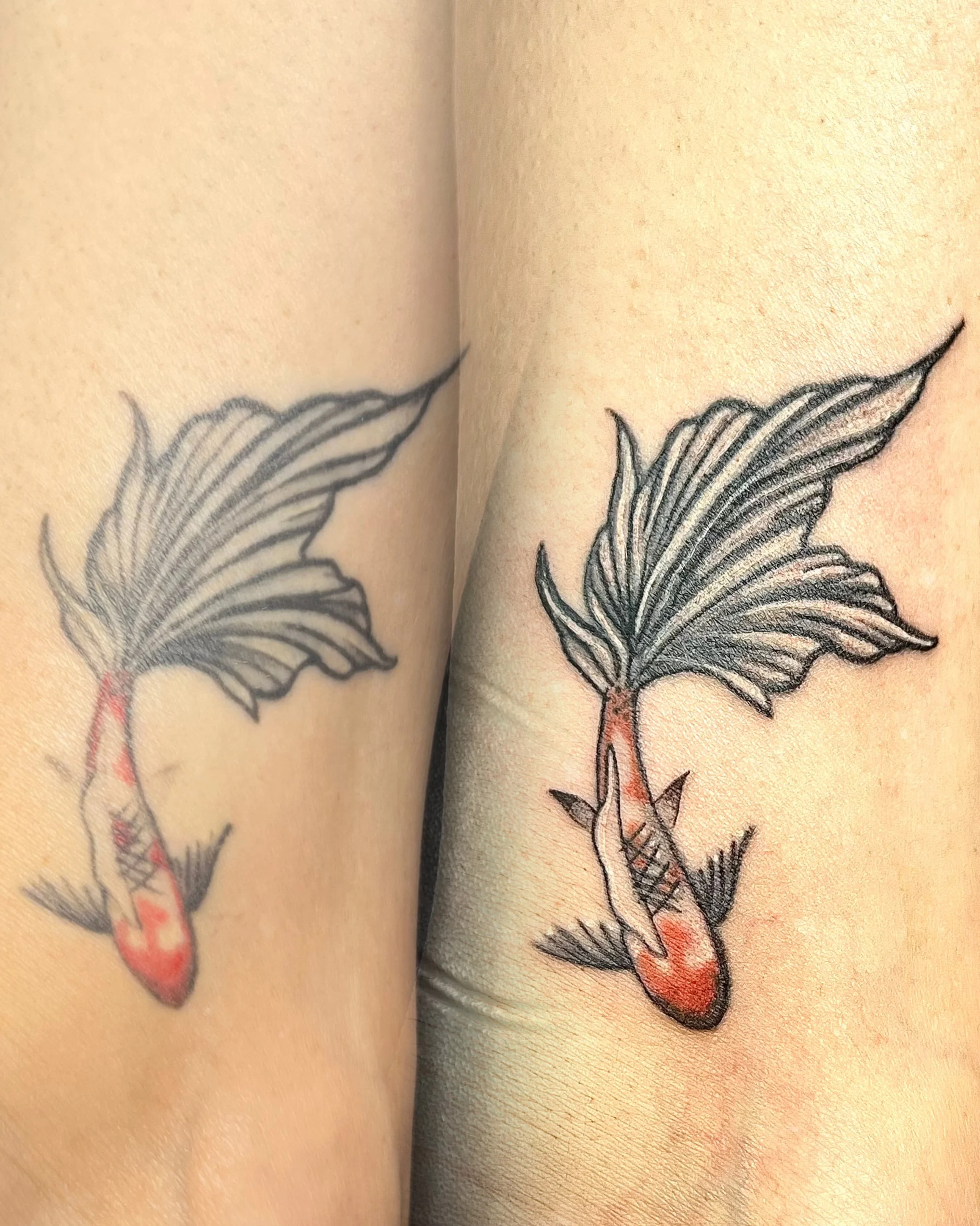 coy fish tattoo
