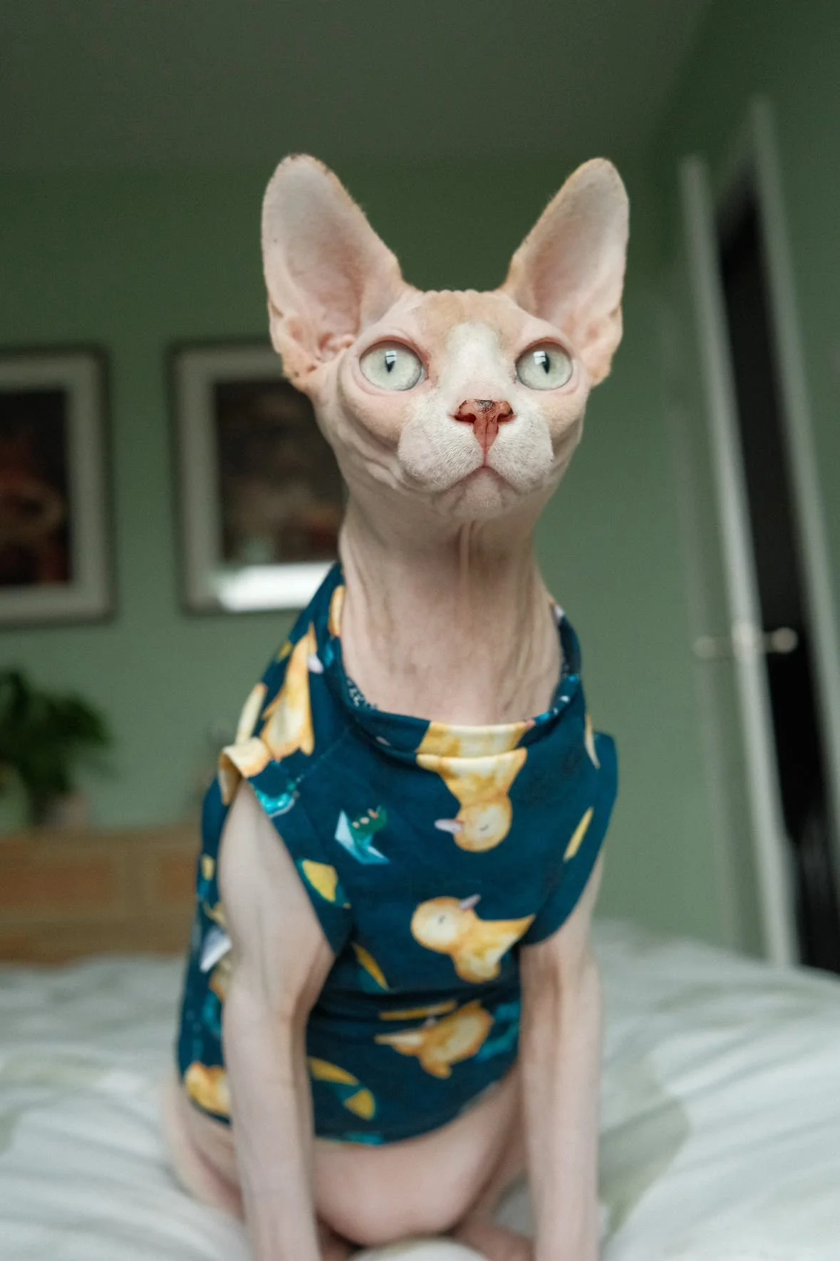 WhatsApp Image 2026-01-22 at 18.10.16.jpeg