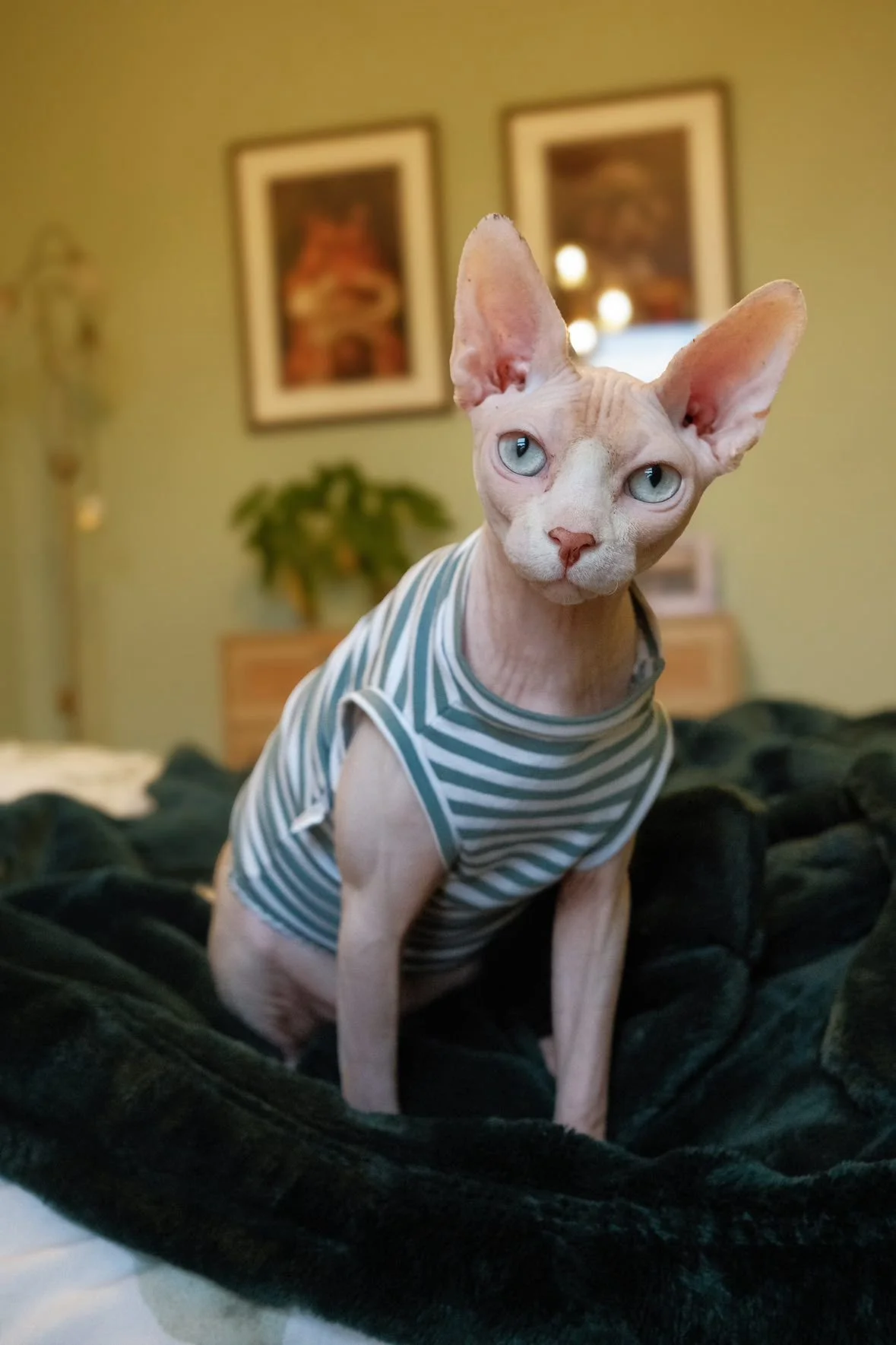 WhatsApp Image 2026-01-22 at 18.10.25 (2).jpeg