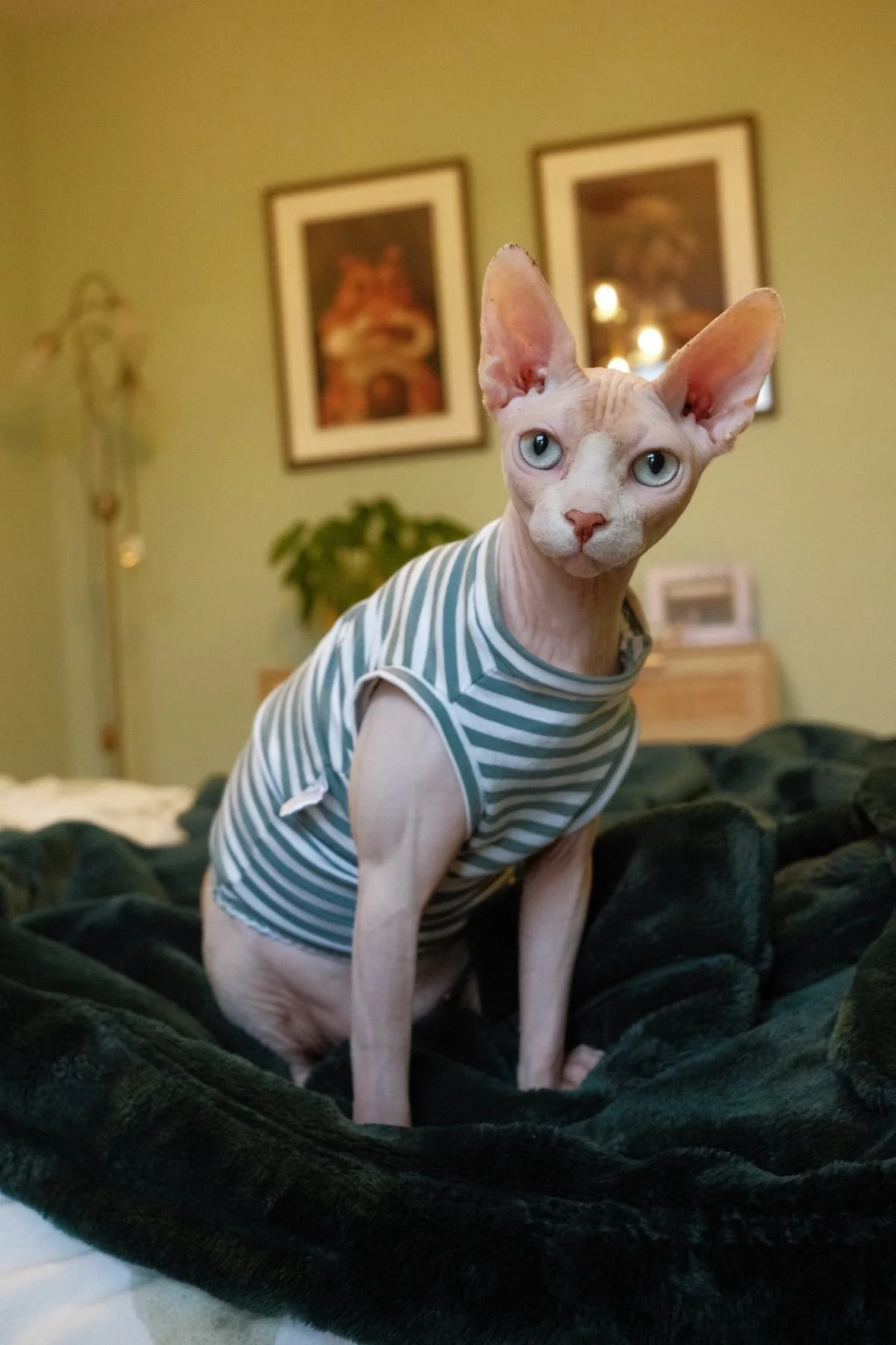 WhatsApp Image 2026-01-22 at 18.10.25 (1).jpeg