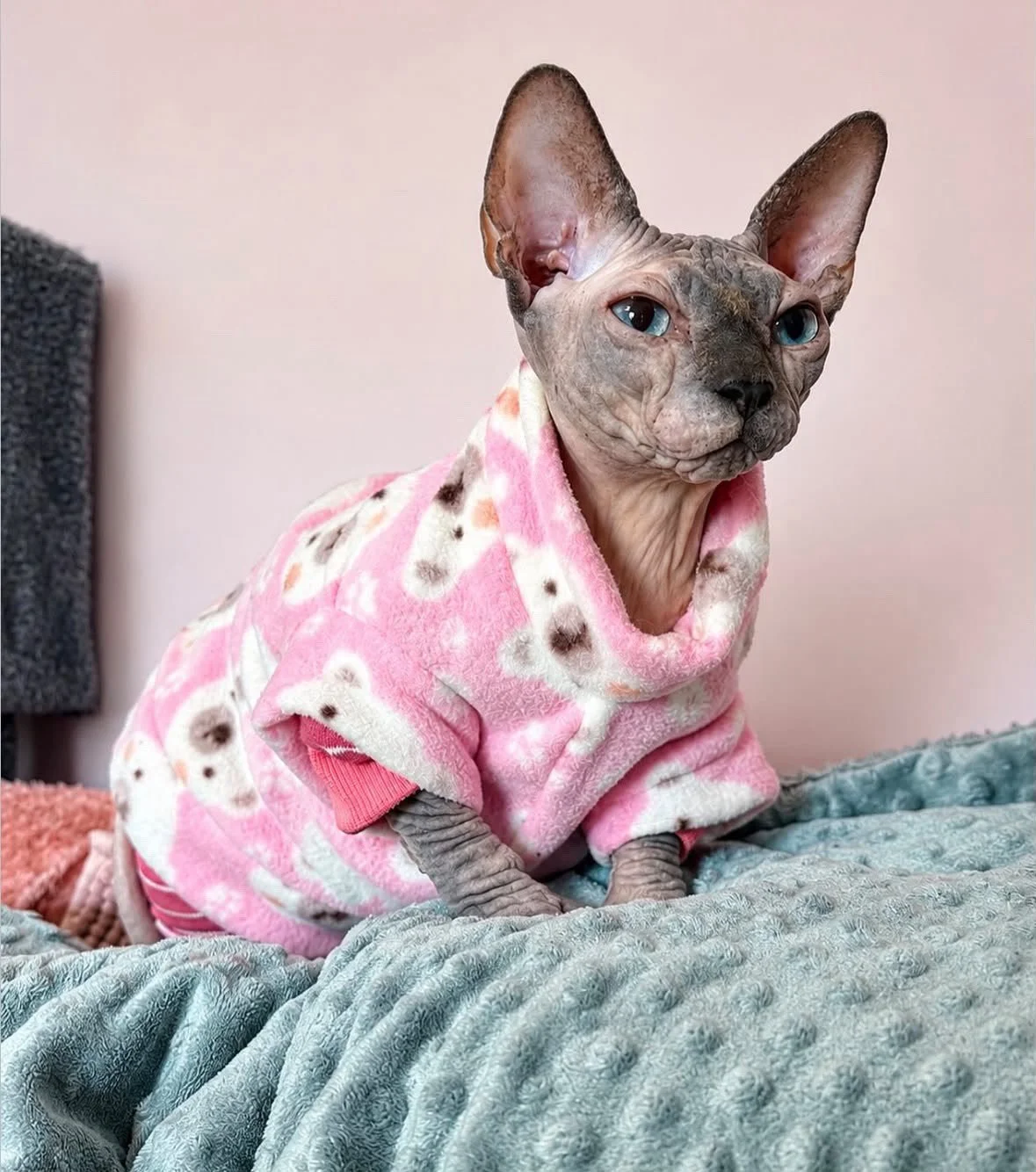 Pink Polar Bears Extra Warm Sphynx Cat Jumper / Jersey