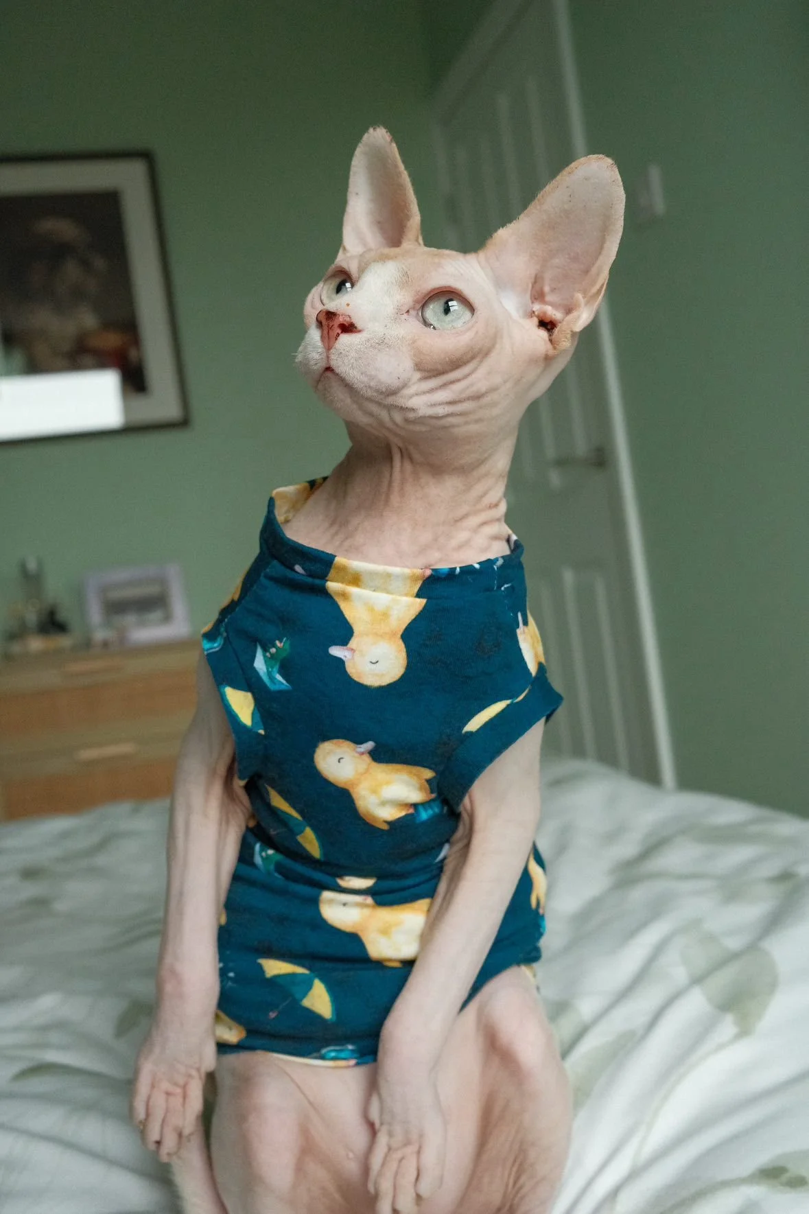 WhatsApp Image 2026-01-22 at 18.10.19 (6).jpeg