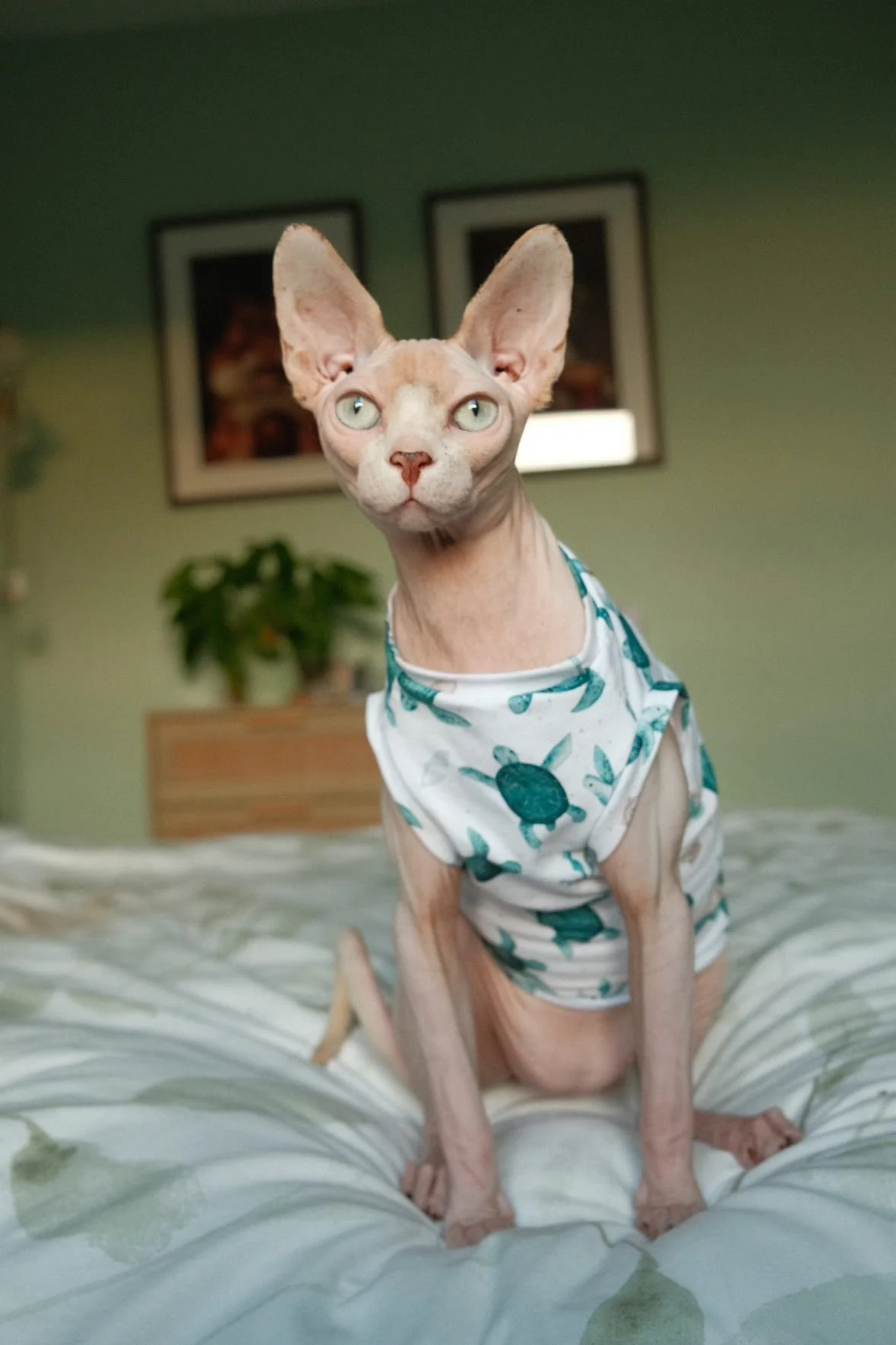 WhatsApp Image 2026-01-22 at 18.10.15 (2).jpeg