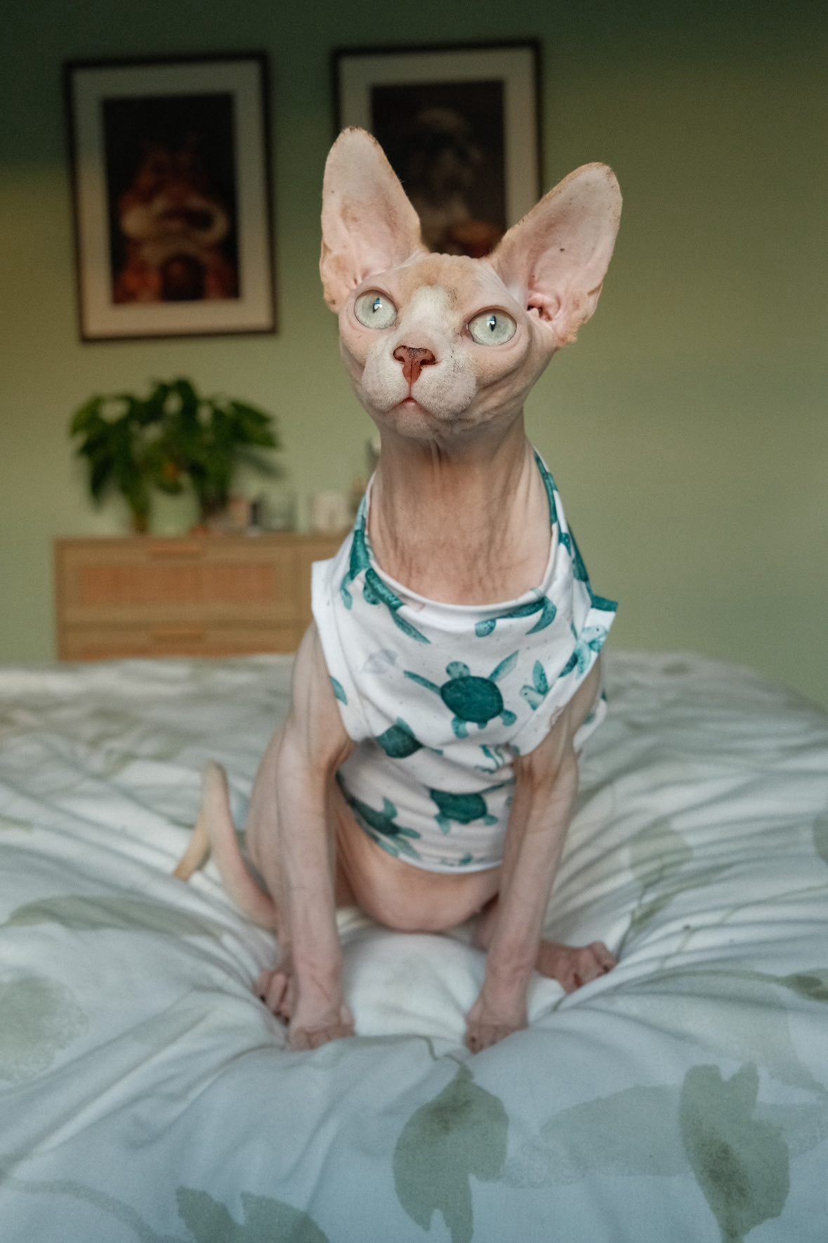 WhatsApp Image 2026-01-22 at 18.10.15 (3).jpeg