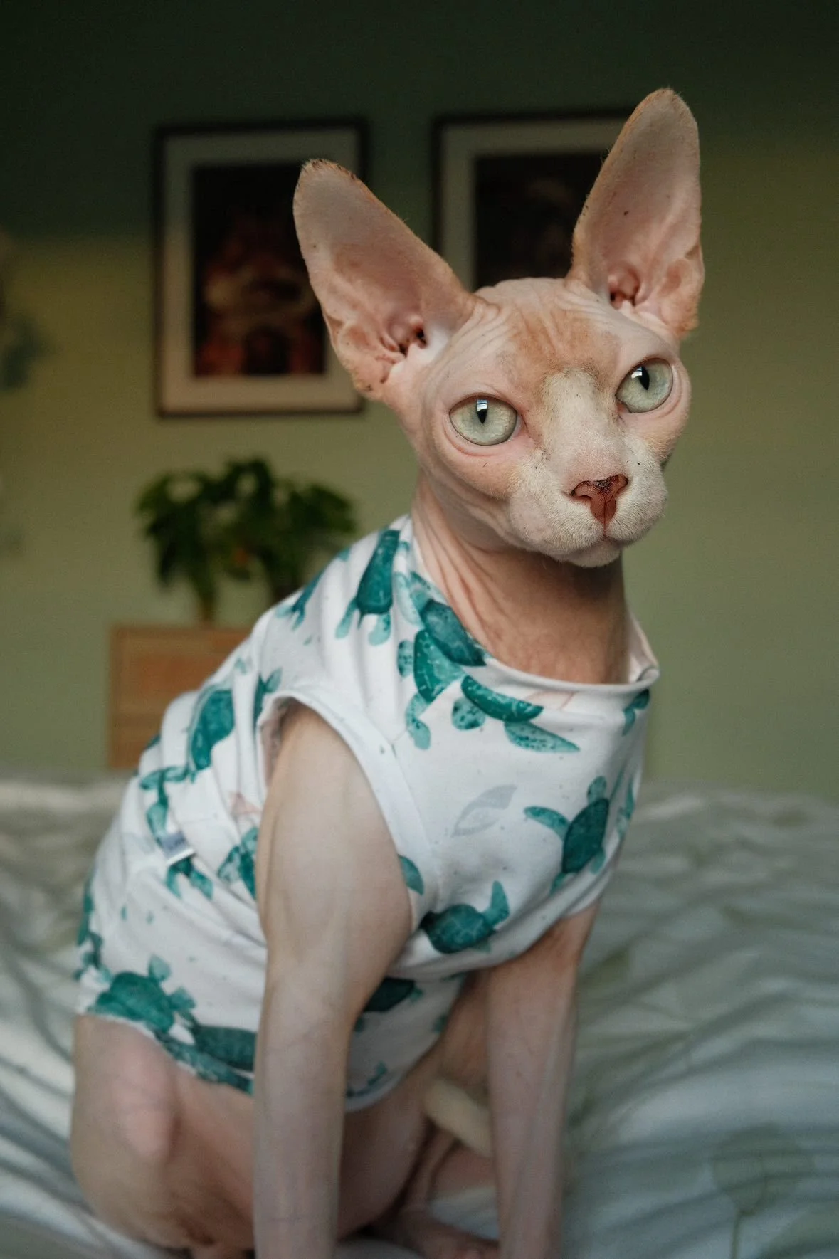 WhatsApp Image 2026-01-22 at 18.10.14 (2).jpeg