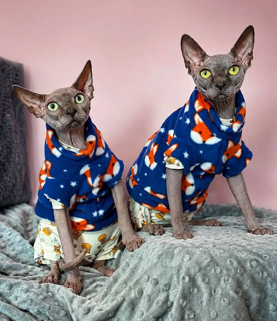 Navy Fox & Stars Extra Warm Sphynx Cat Jumper / Jersey
