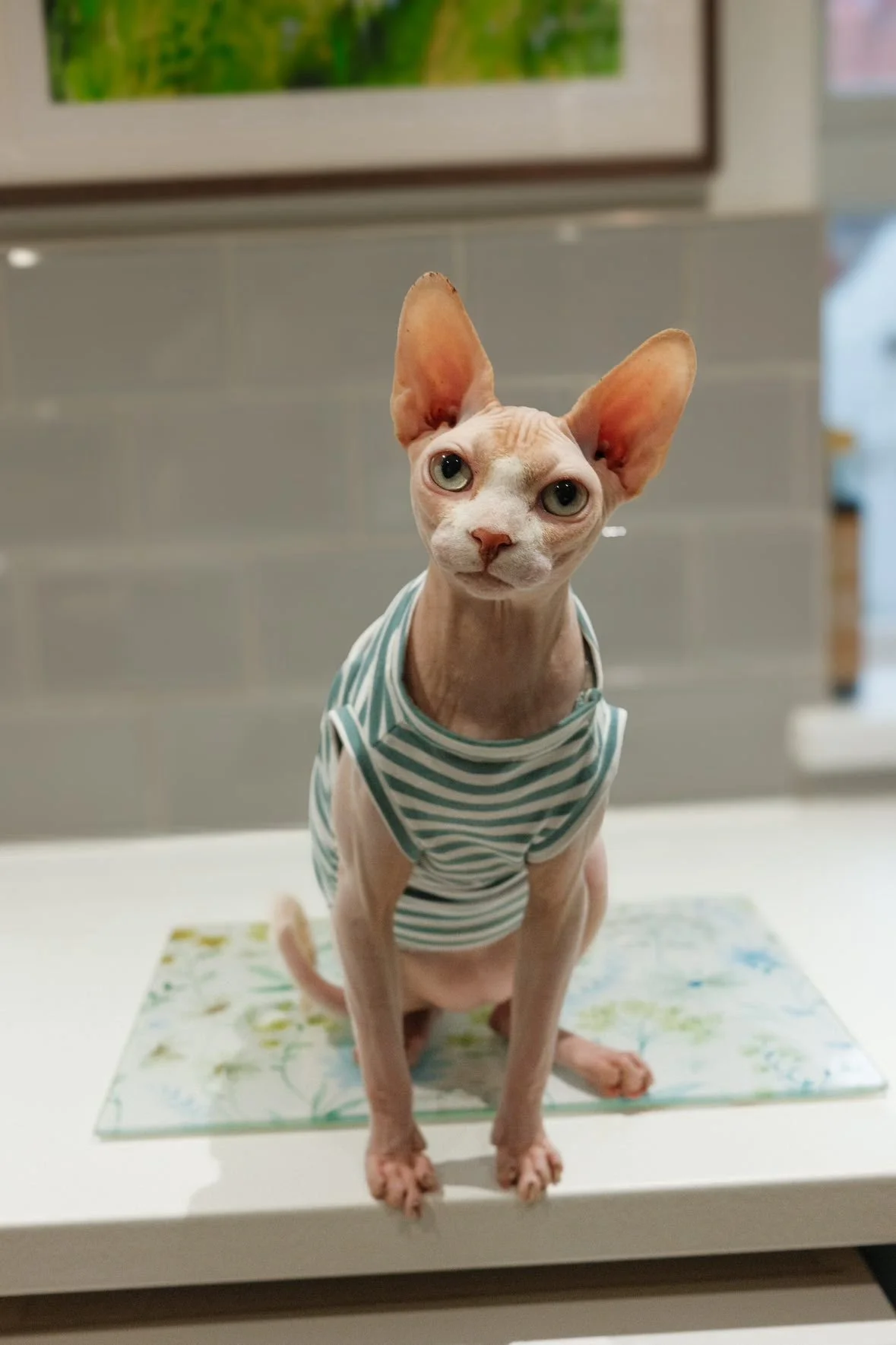 WhatsApp Image 2026-01-22 at 18.10.20 (2).jpeg