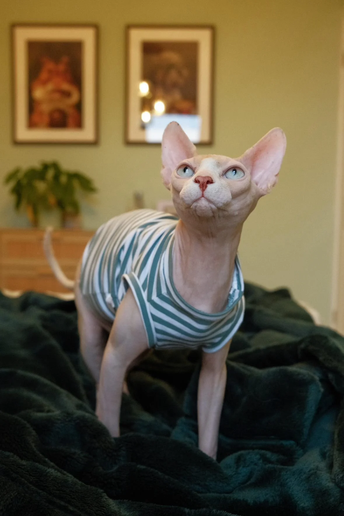 WhatsApp Image 2026-01-22 at 18.10.25.jpeg