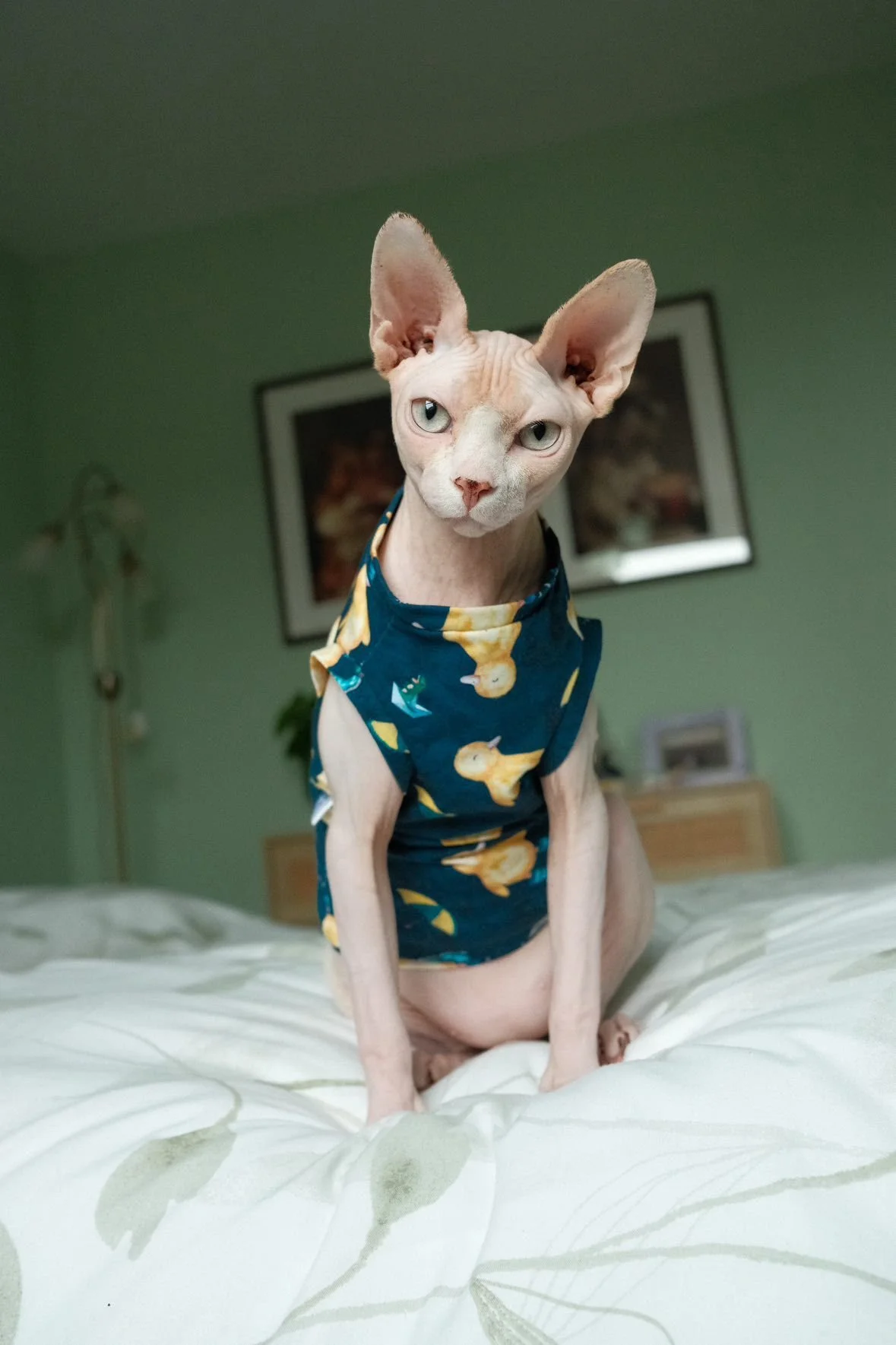 WhatsApp Image 2026-01-22 at 18.10.18.jpeg