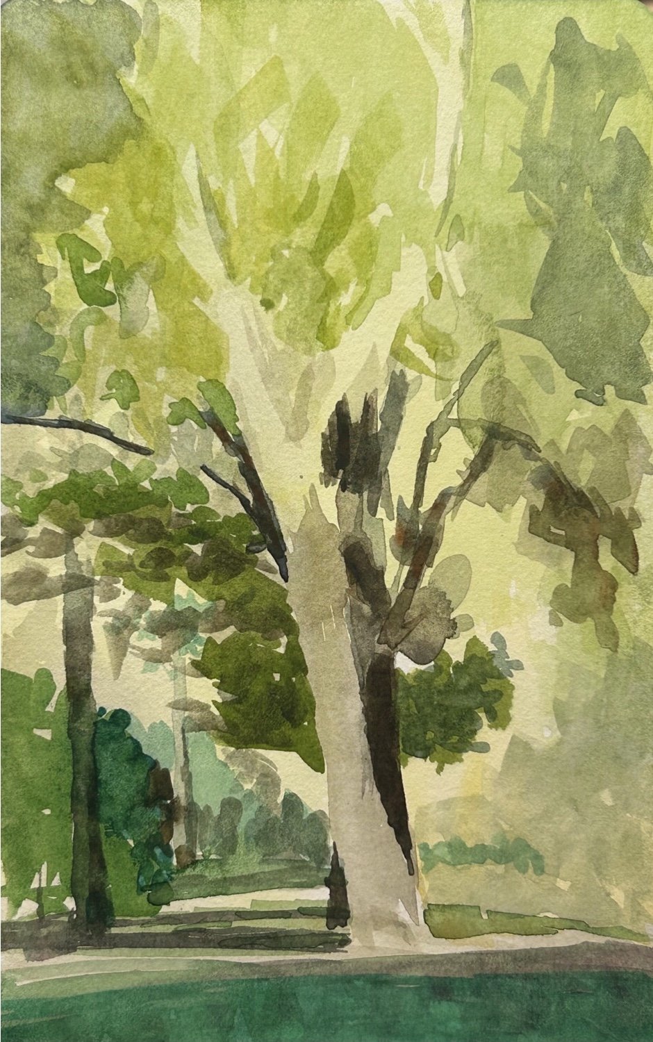 Water Color and Working on Values