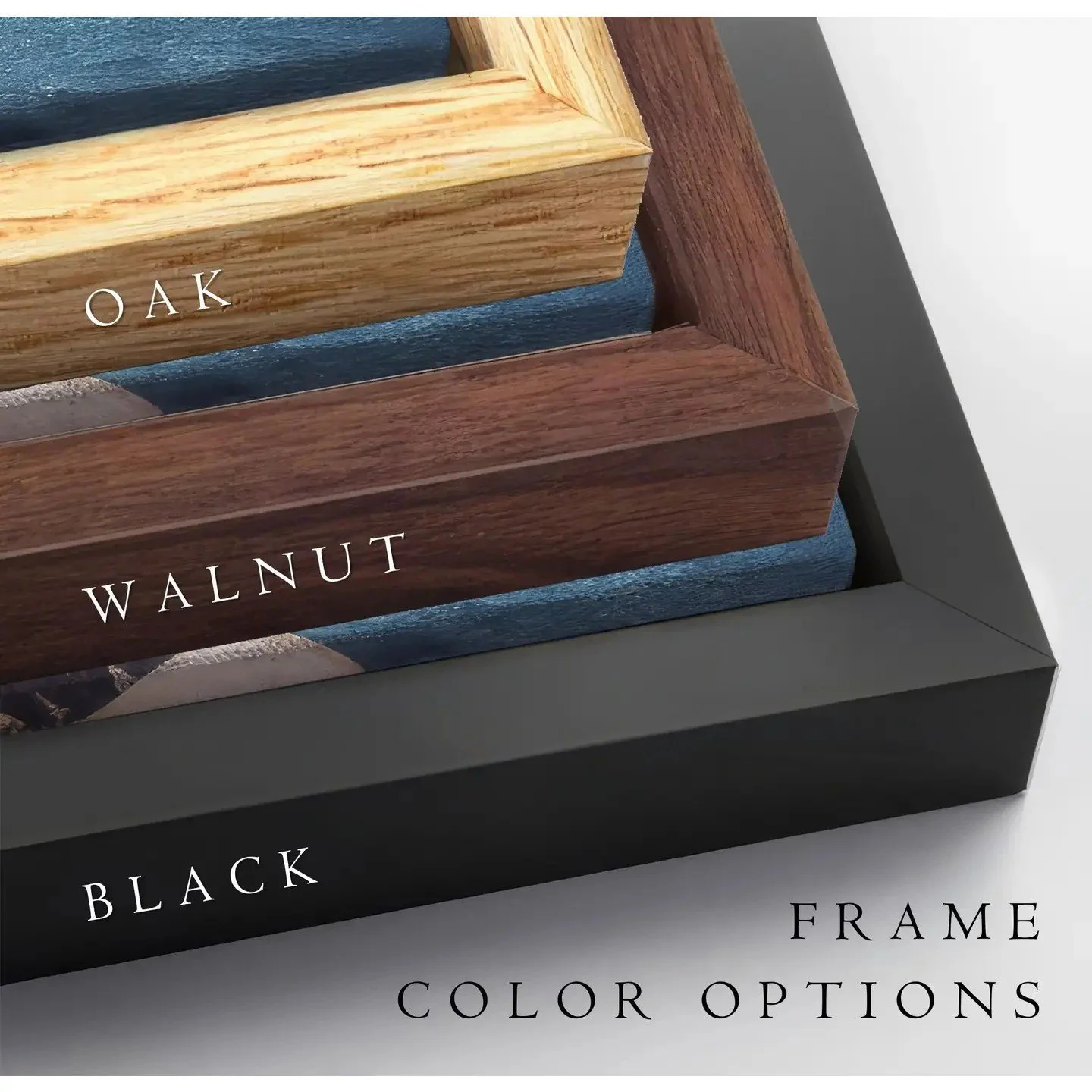 Floating Frames Canvas.jpg