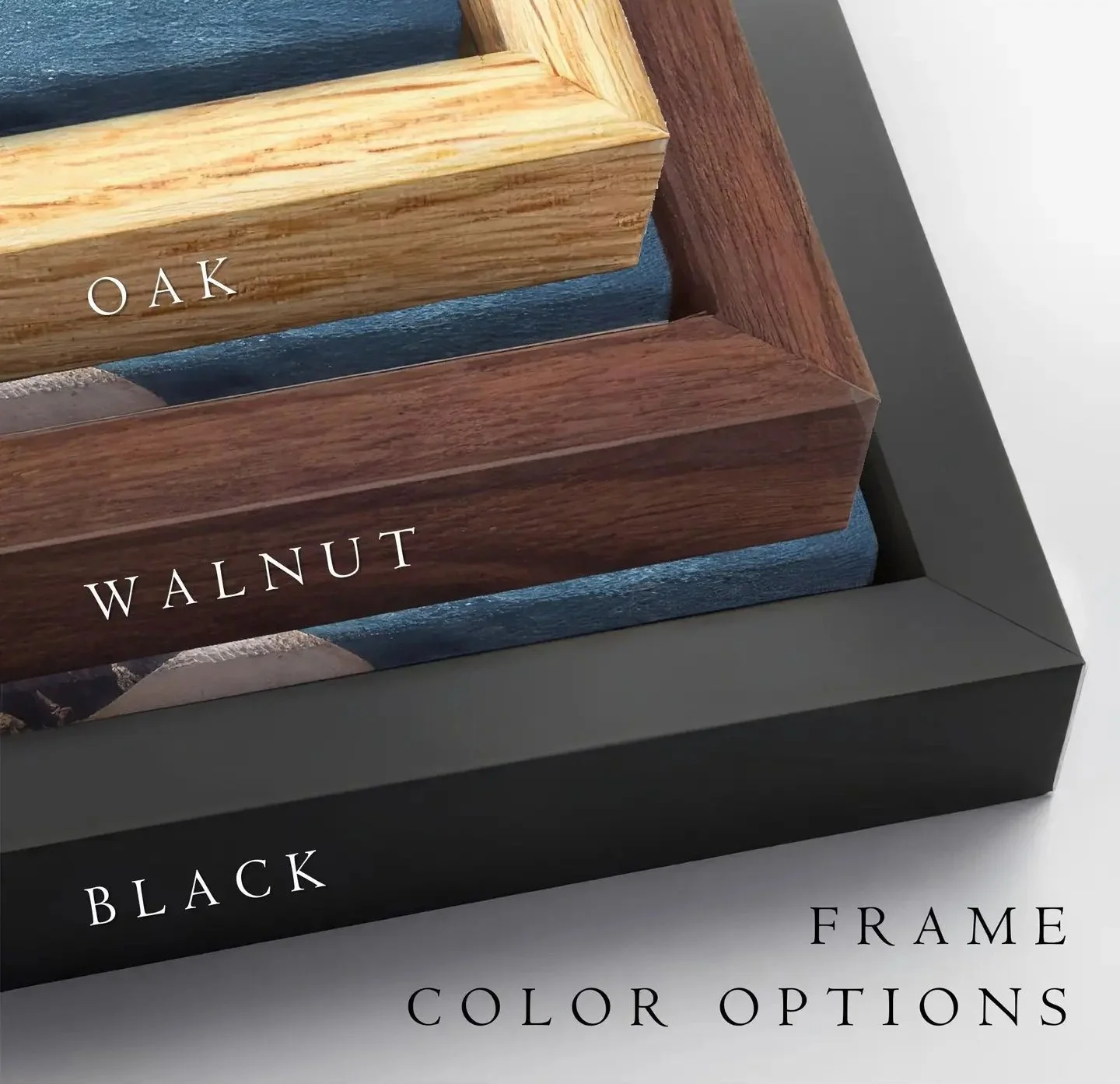 Floating Frames Canvas for Shop.jpg