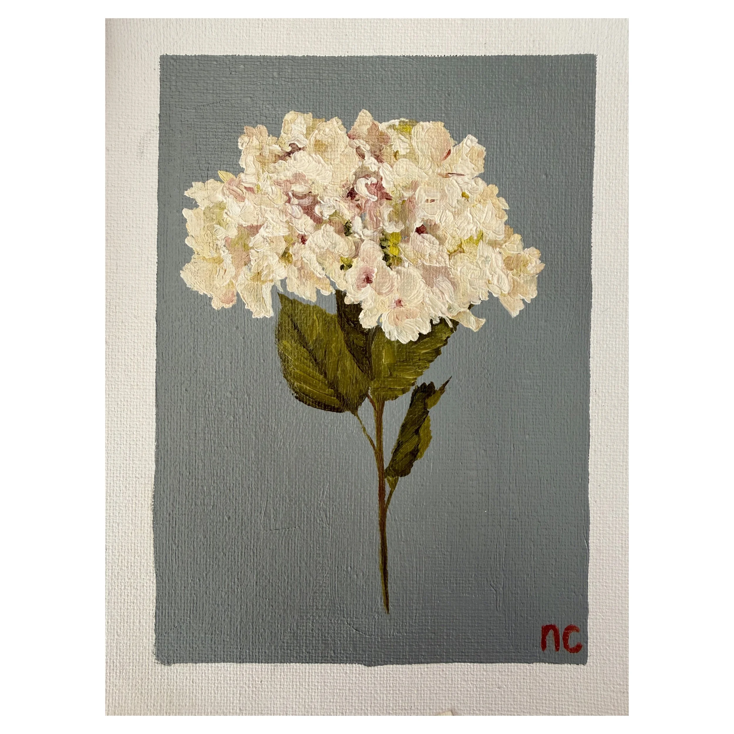 Antique Cream Hydrangea