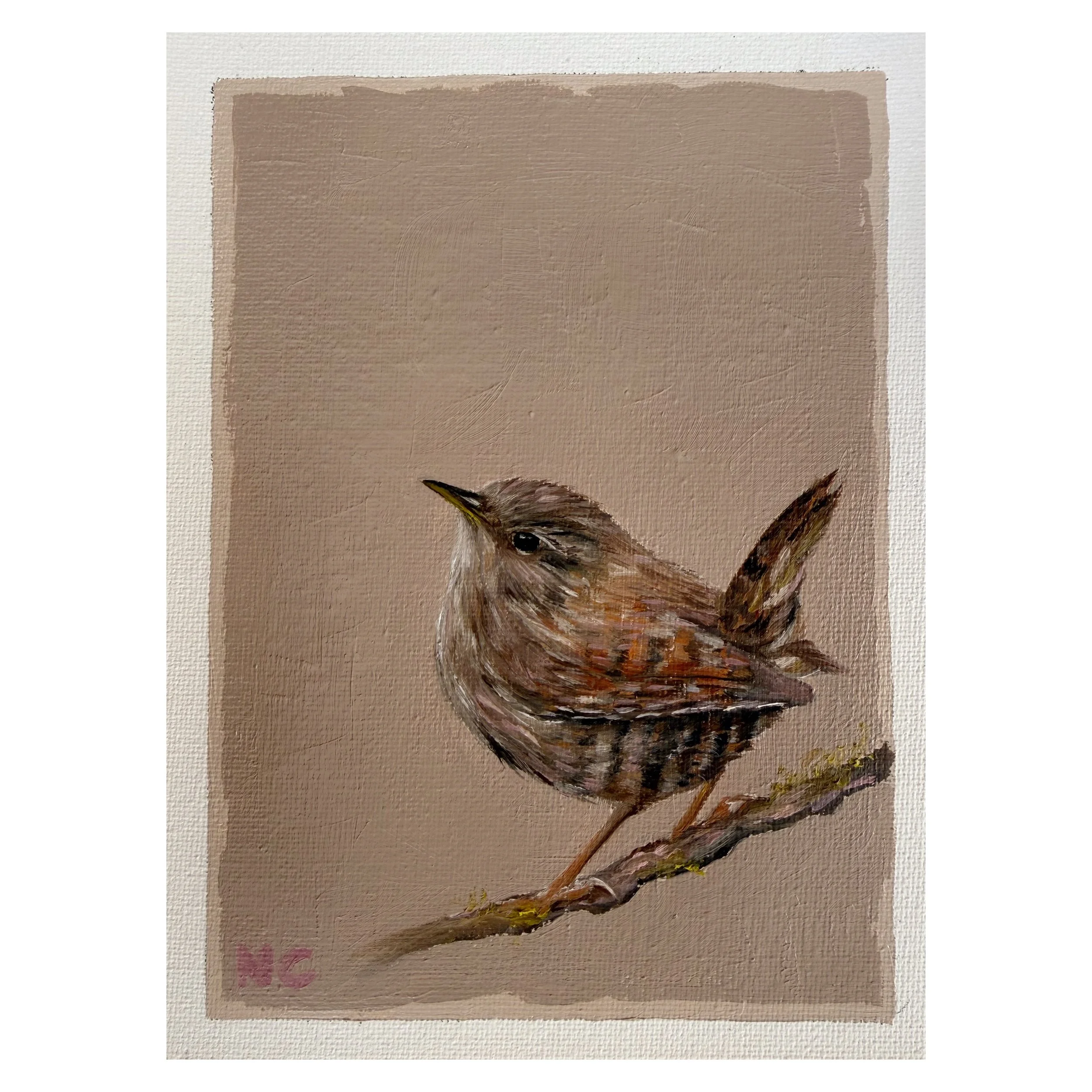 Wren
