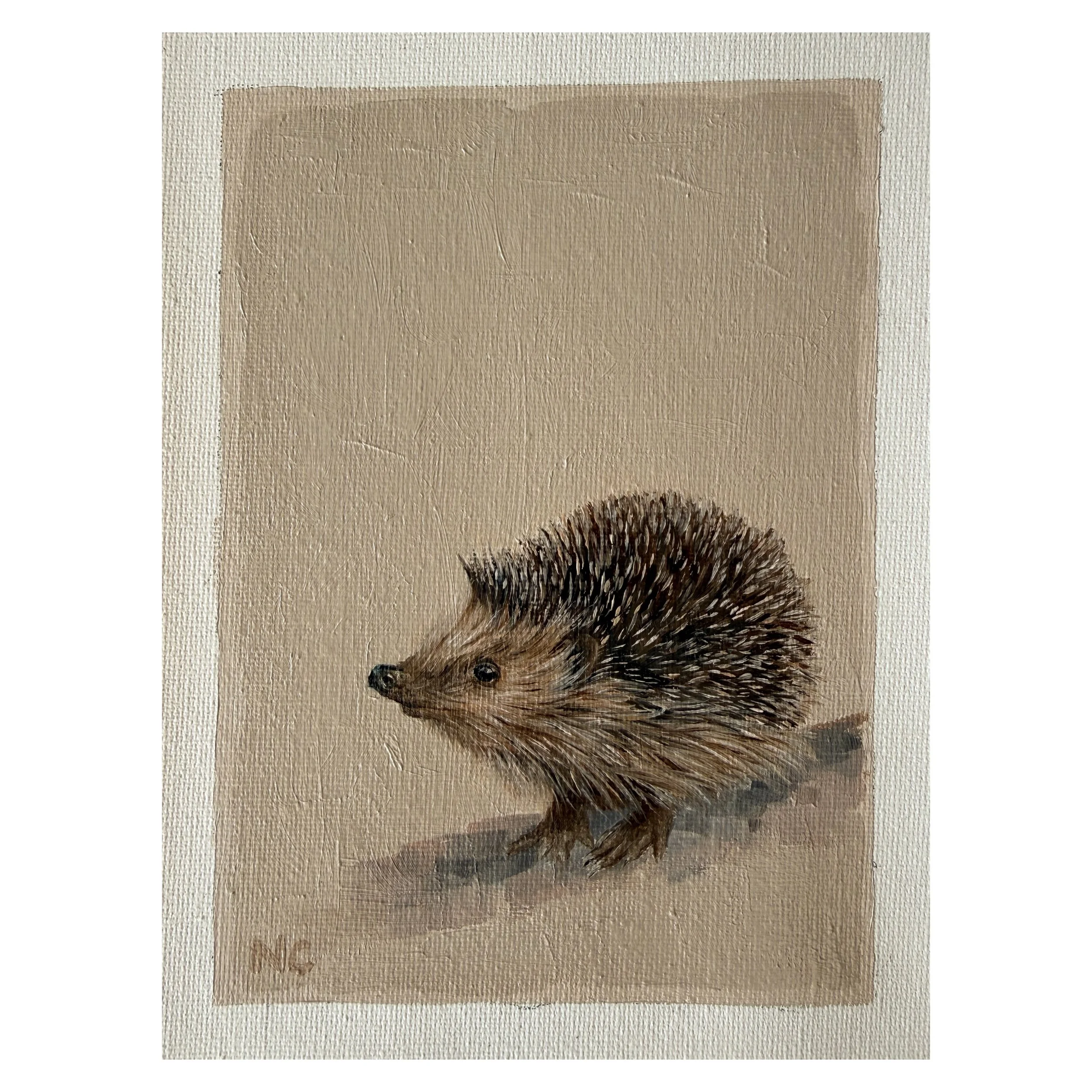 Curious Hedgehog